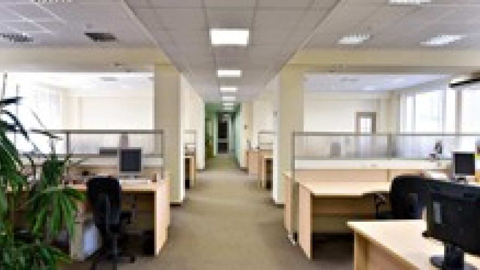 Adelphi Home Cleaning