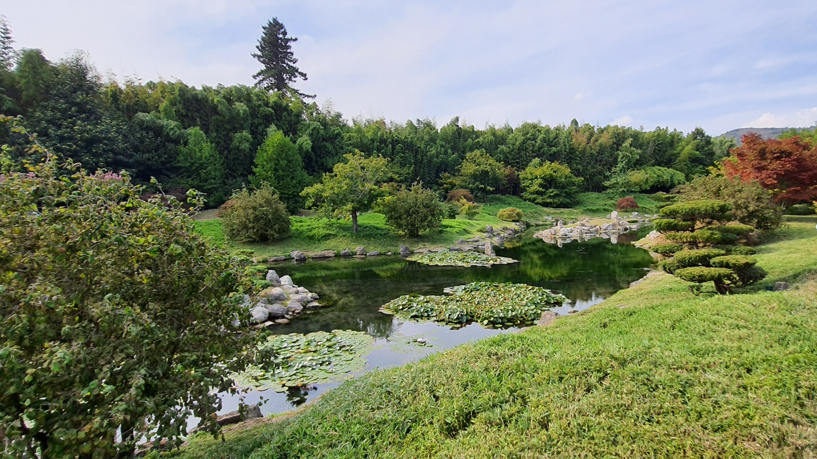 Vital'énergie - Alexandra DUPONT