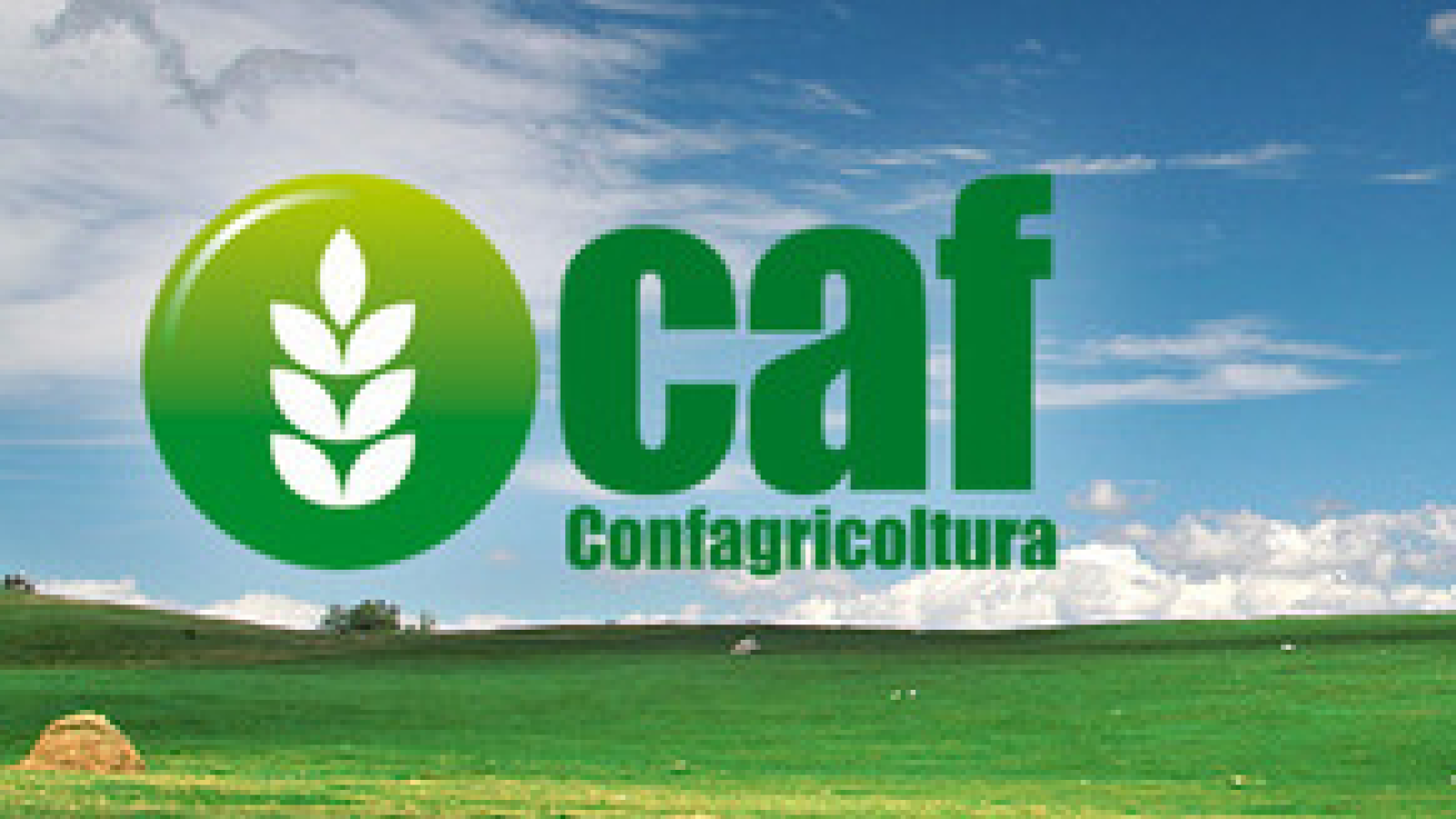 CAAF CONFAGRICOLTURA - SPORTELLO PERIFERICO UNION SERVICES SRL