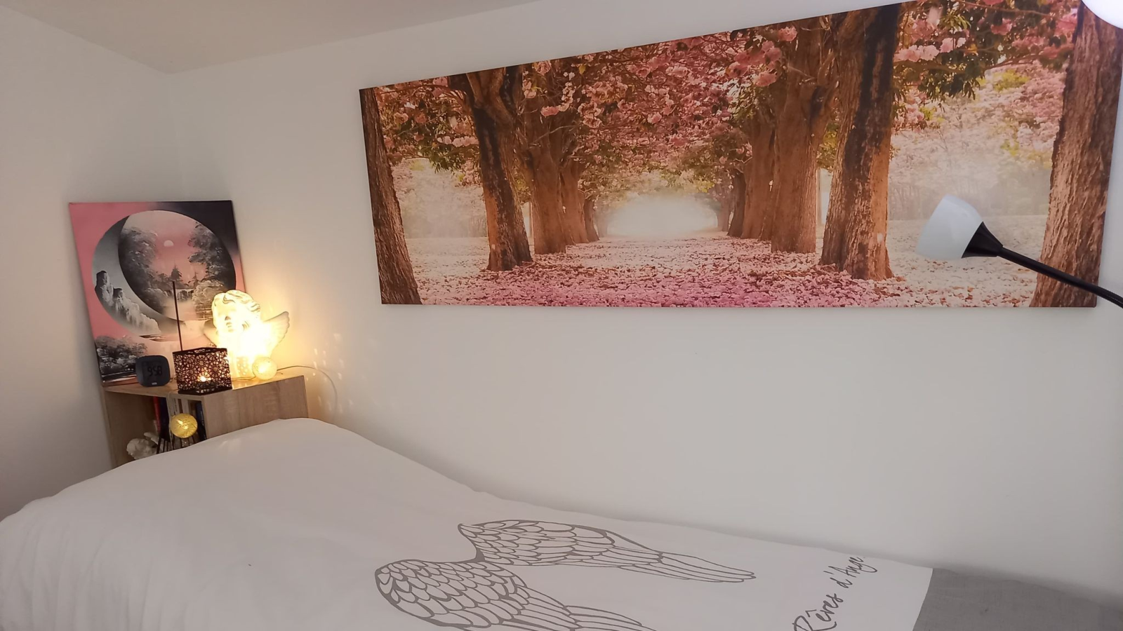 s'il vit ailleurs médium