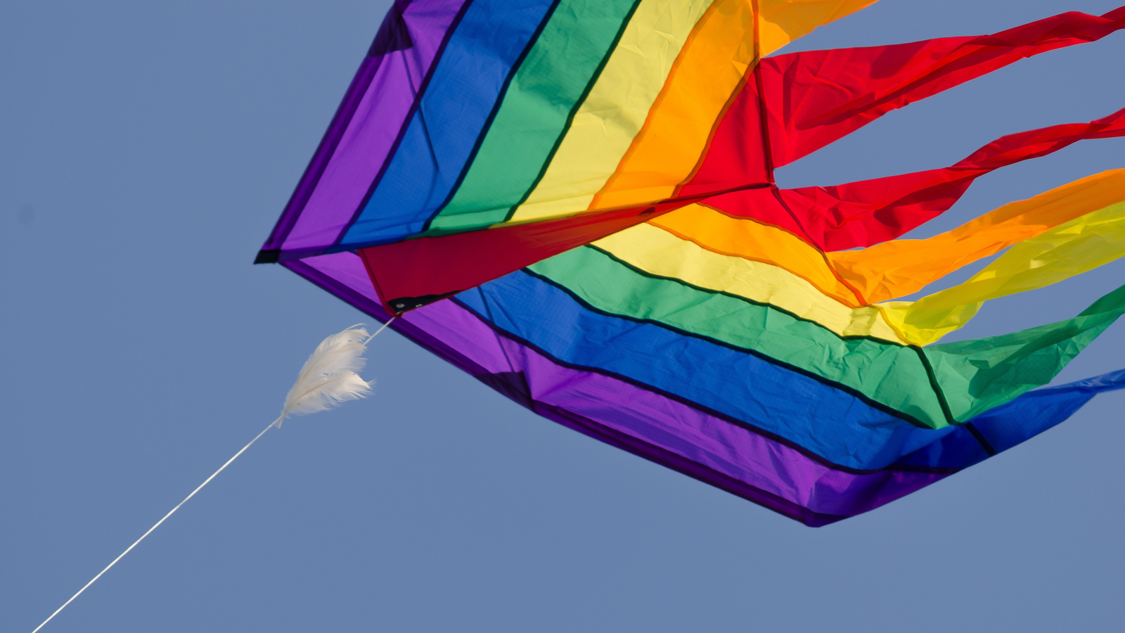 Coralie SONESSENCE- Coralie DEGOUTTE EI