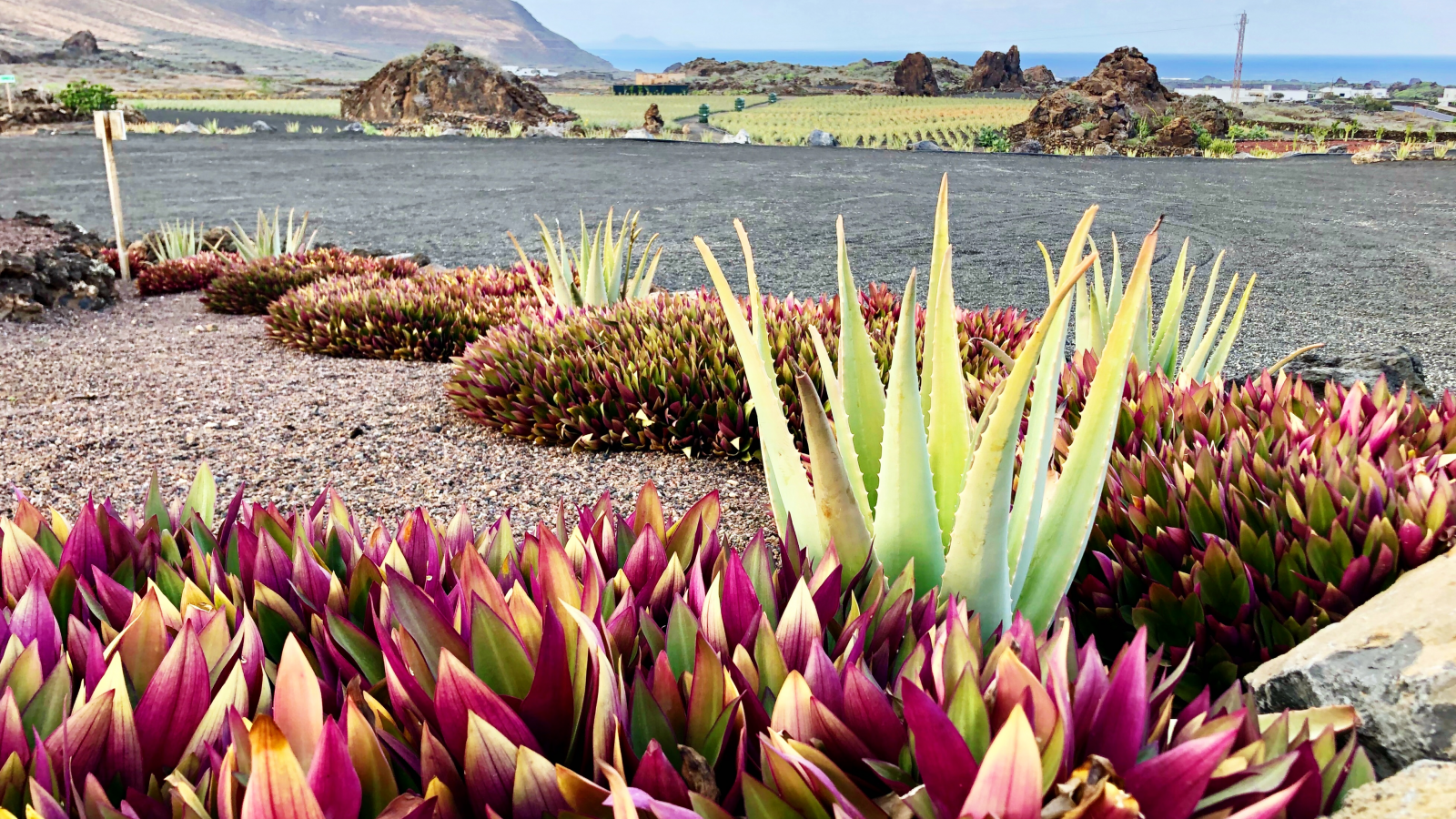 1Life Travel, s.r.o.