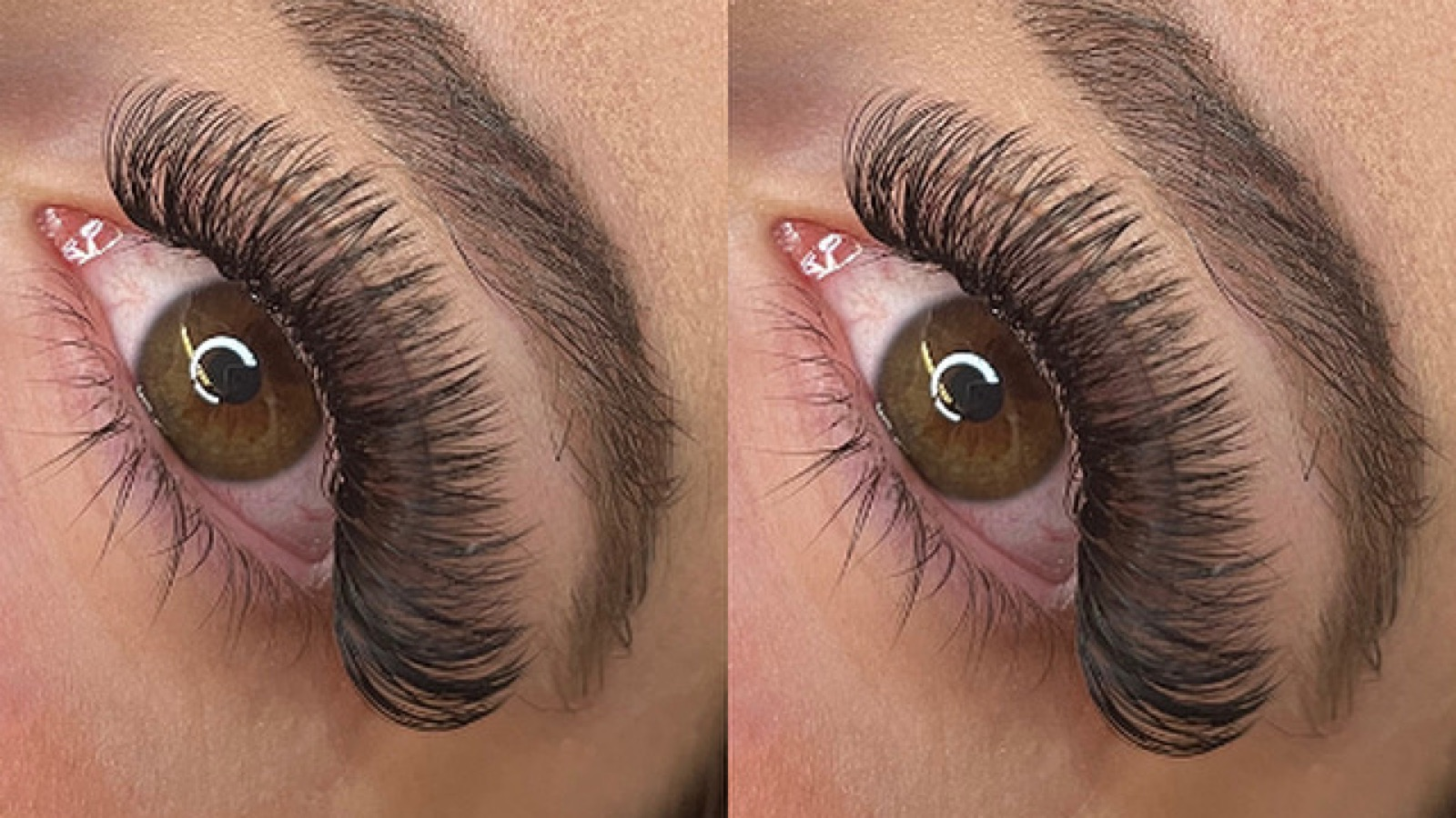 lashes by ams