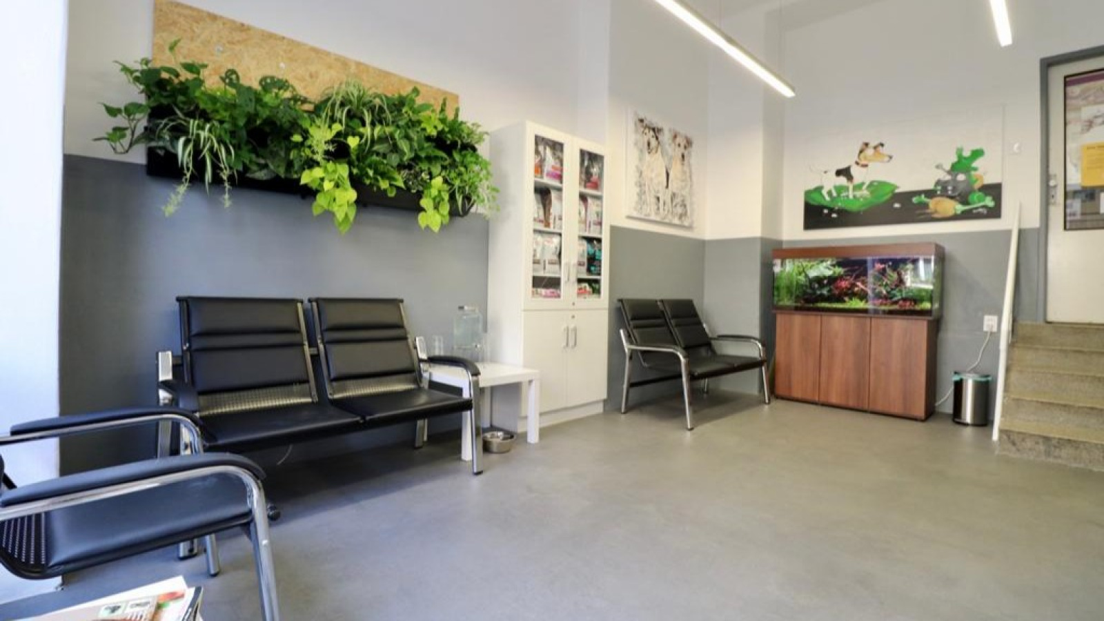 HANIMA Veterinary Clinic