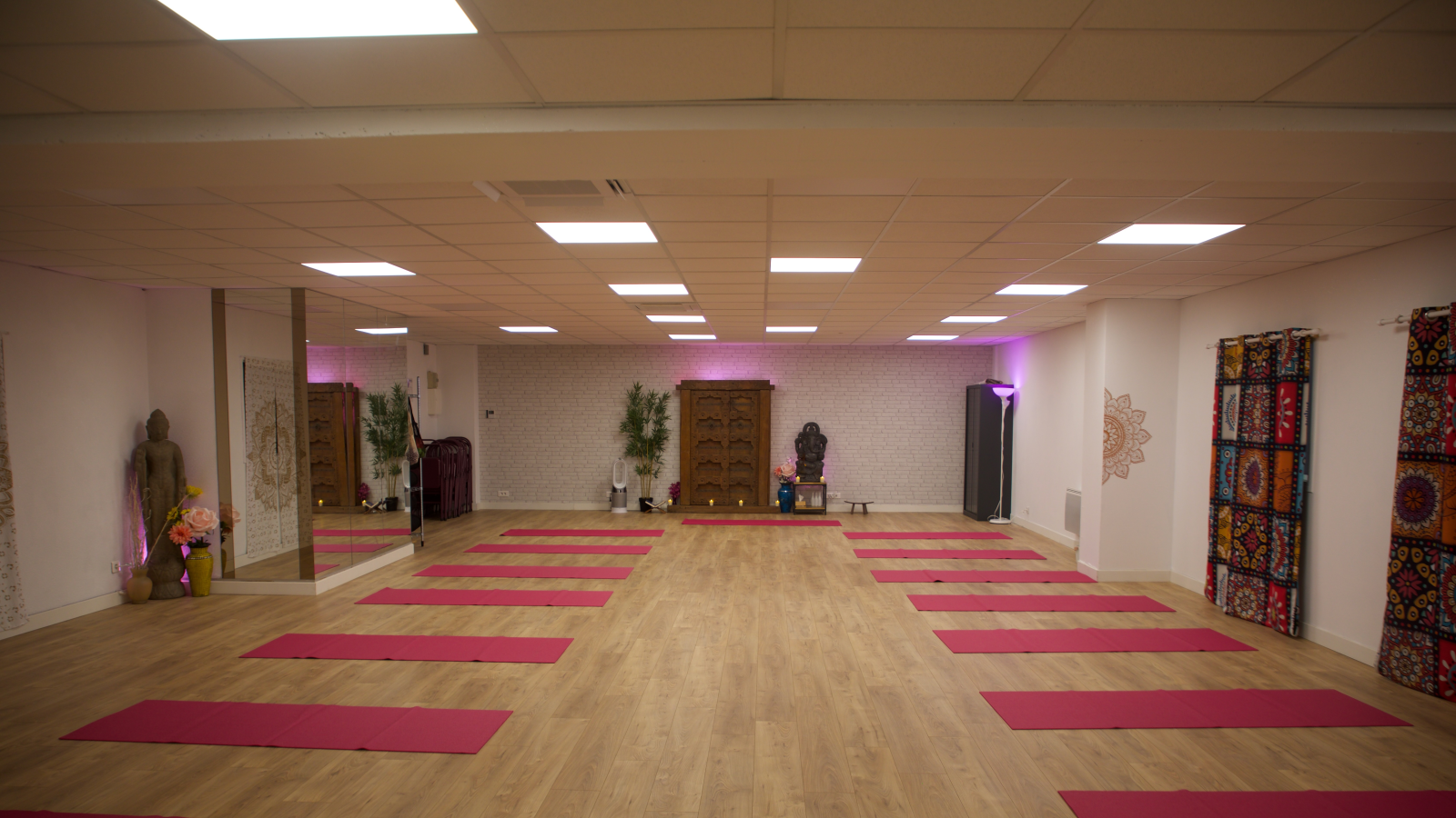 Ayush Yoga Studio - Ramonville