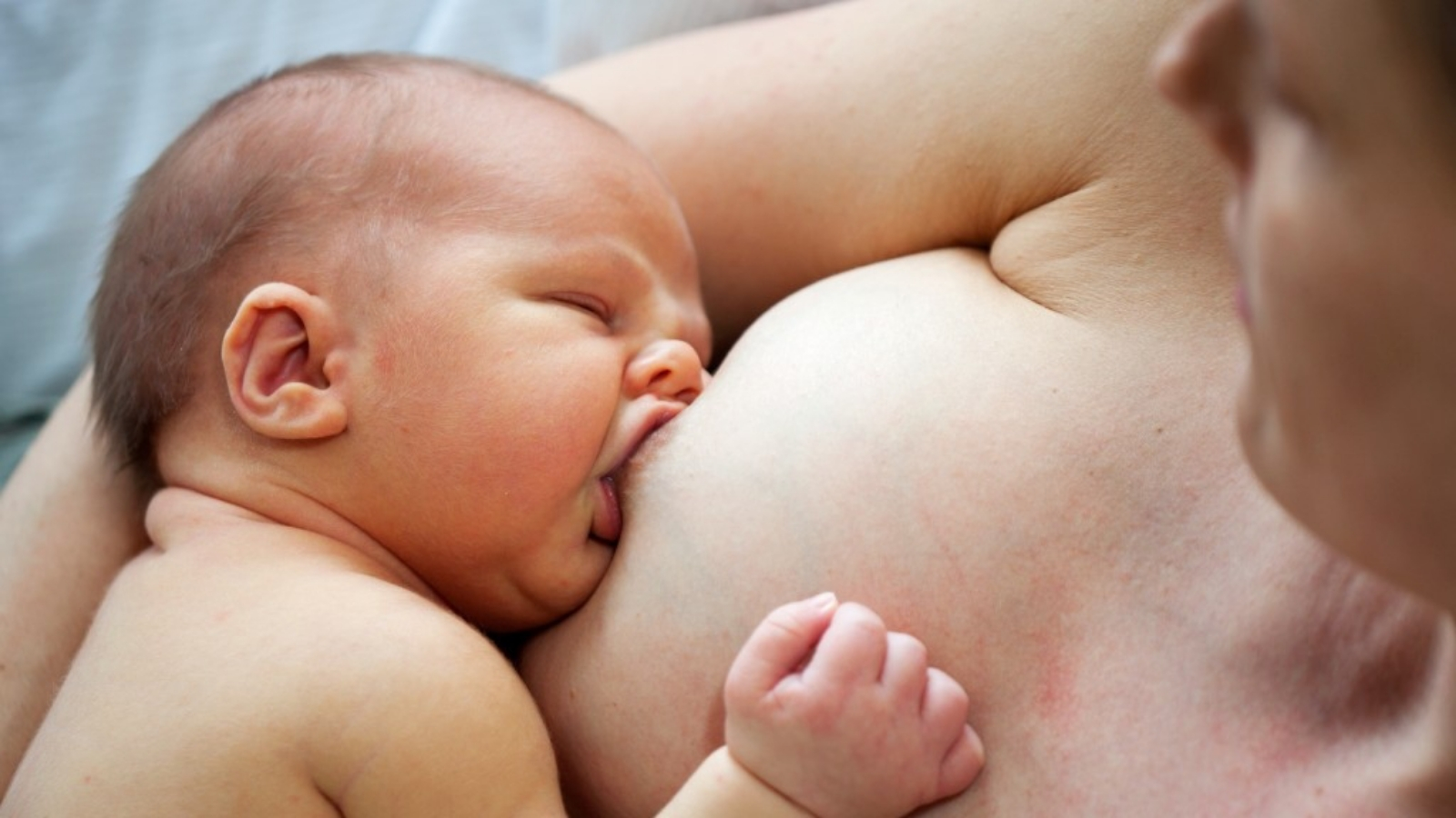 Certyfikowany Doradca Laktacyjny Paulina Nowak