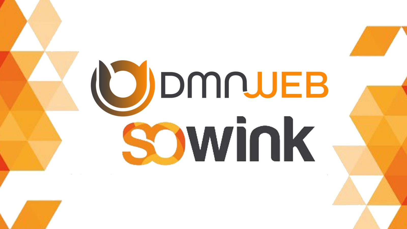 DMN WEB affilié SOWINK