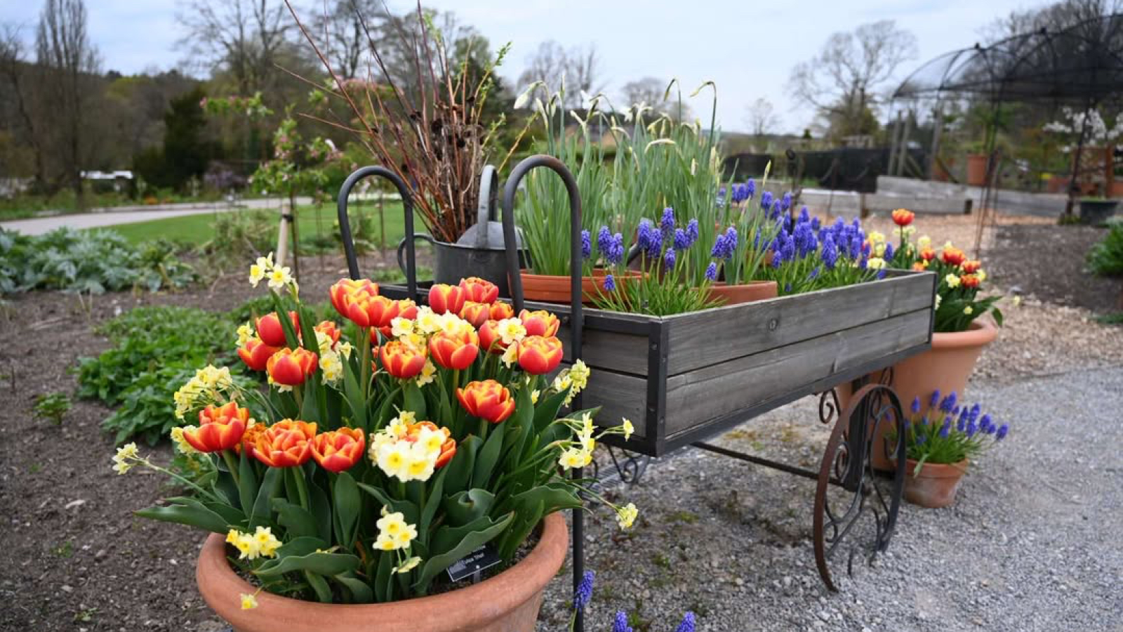 The Friends of Harlow Carr