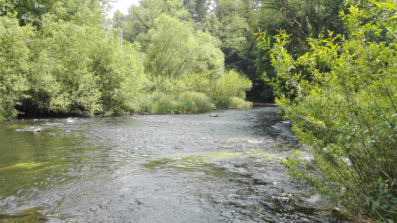 Kranio PaMaMis , Markéta Nedělová, BCST