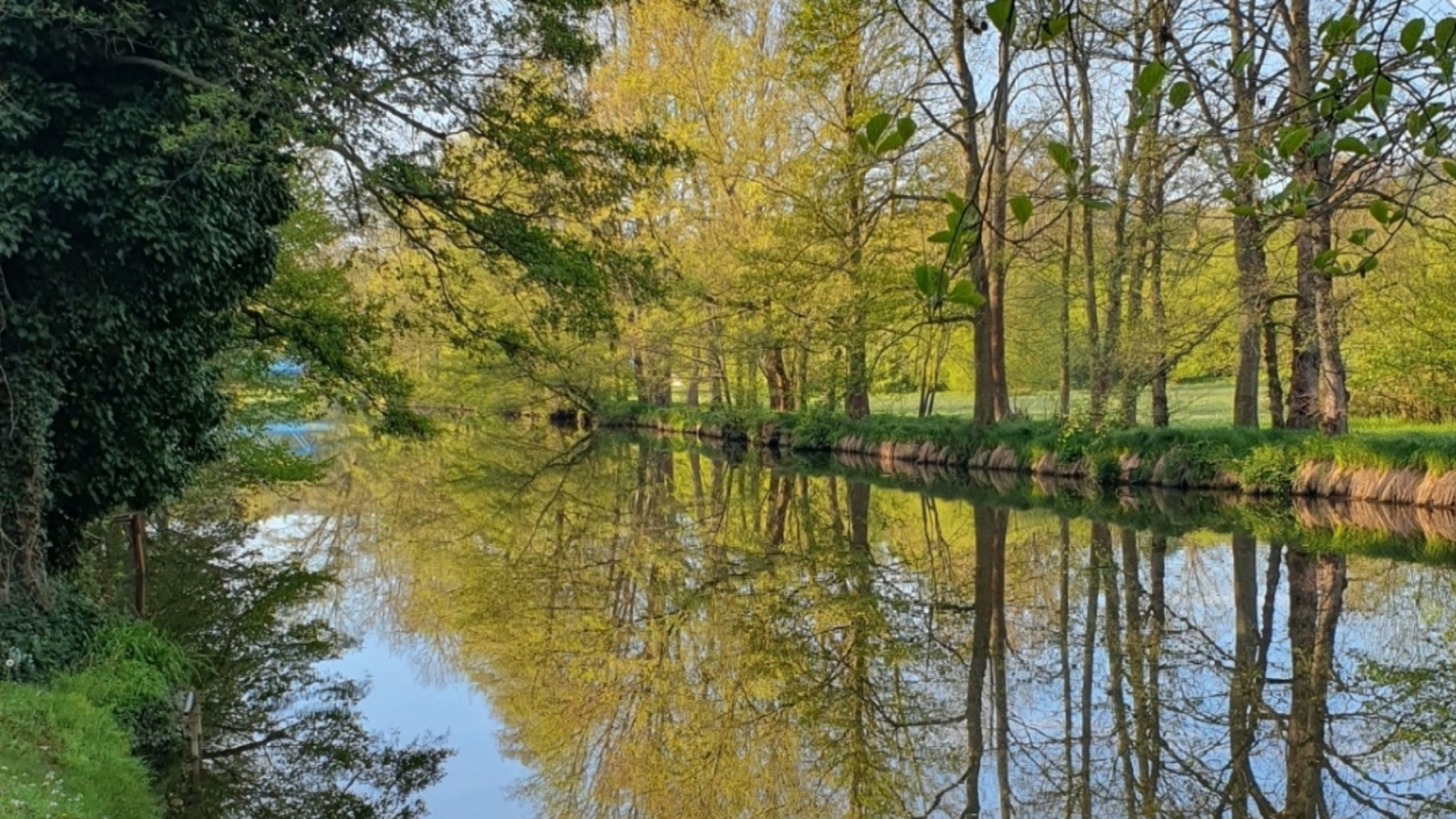 Non Toxic úklid Plzeň