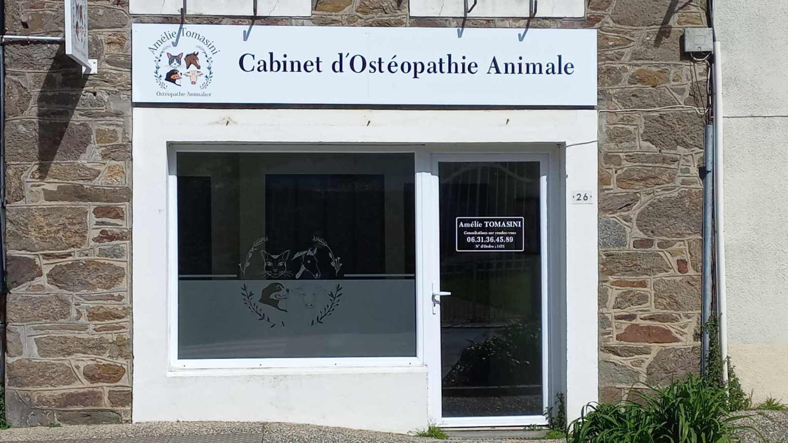 Amélie Tomasini - Ostéopathe Animalier OA1471