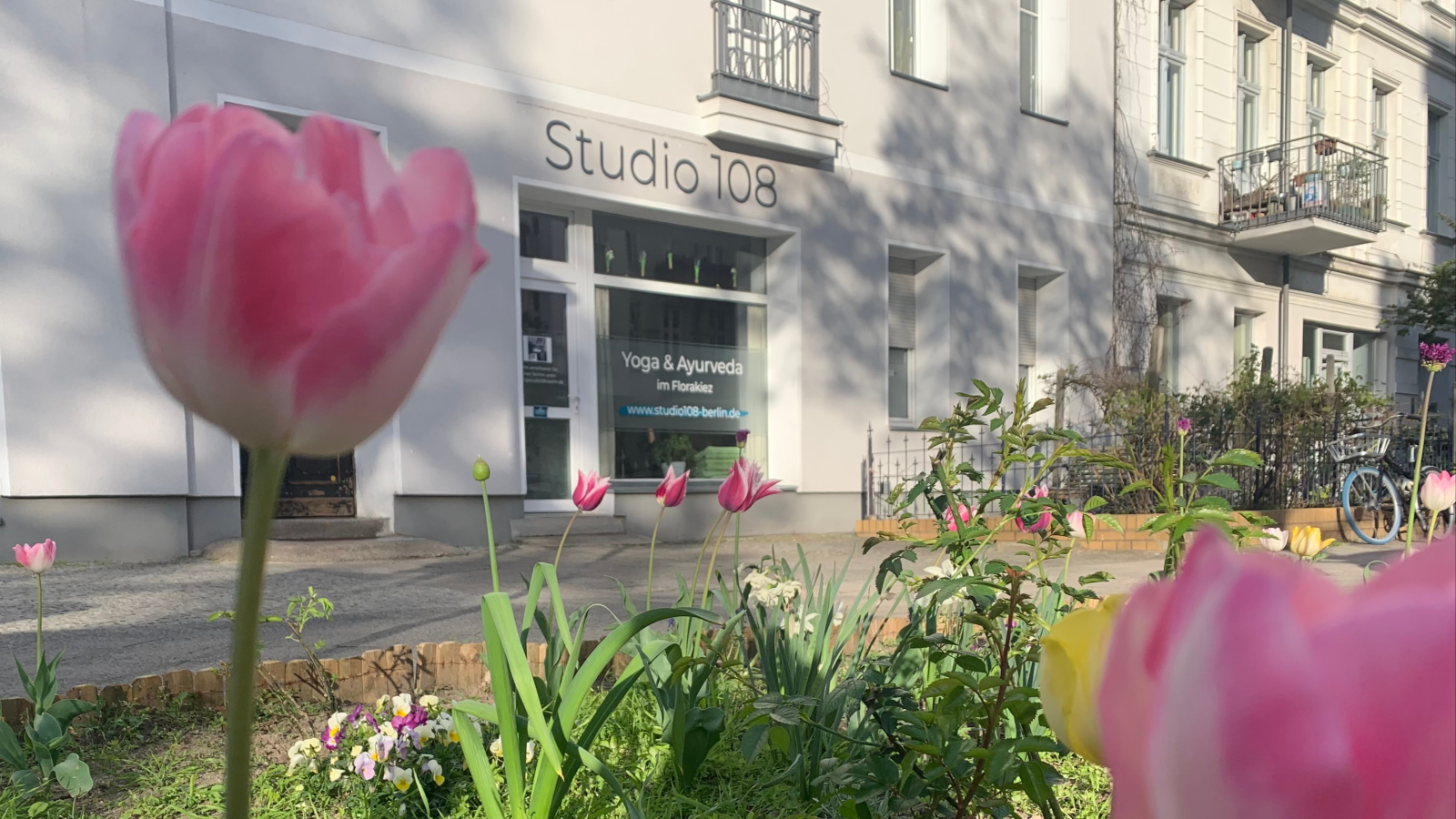 Studio 108 Yoga & Ayurveda