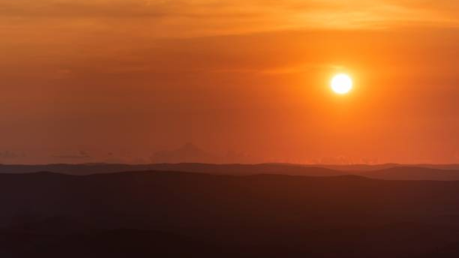 Corinne Bardin Kinésiologue certifiée