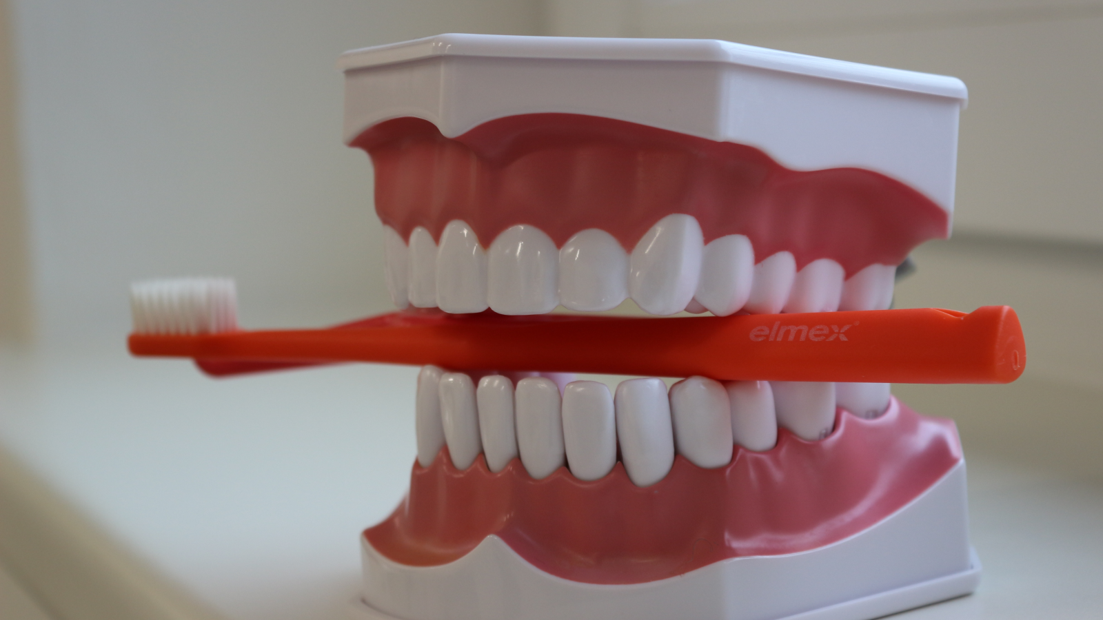 Dentální hygiena Ostrava - Bc. Kateřina Ďurišová