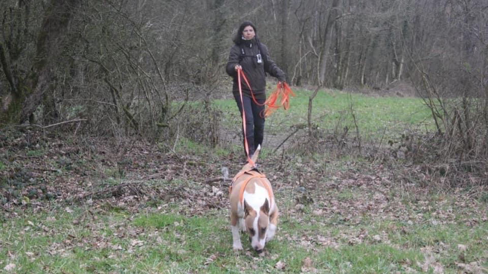 Caroline Oliveira Coaching