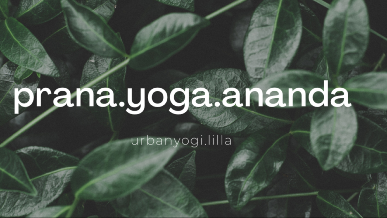 yogawithlilla.com- urbanyogi.lilla