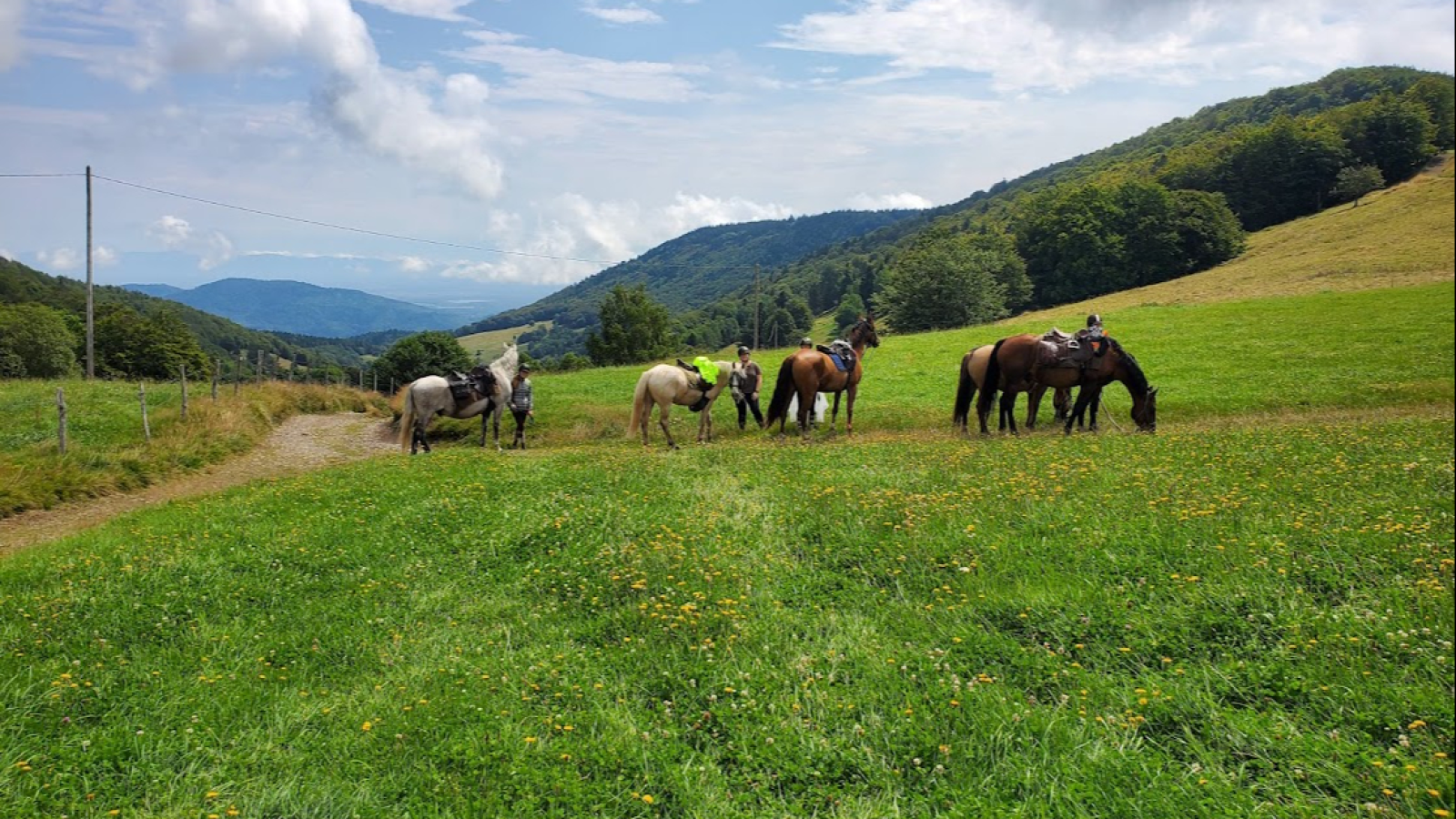 Les sabots dans l'eau