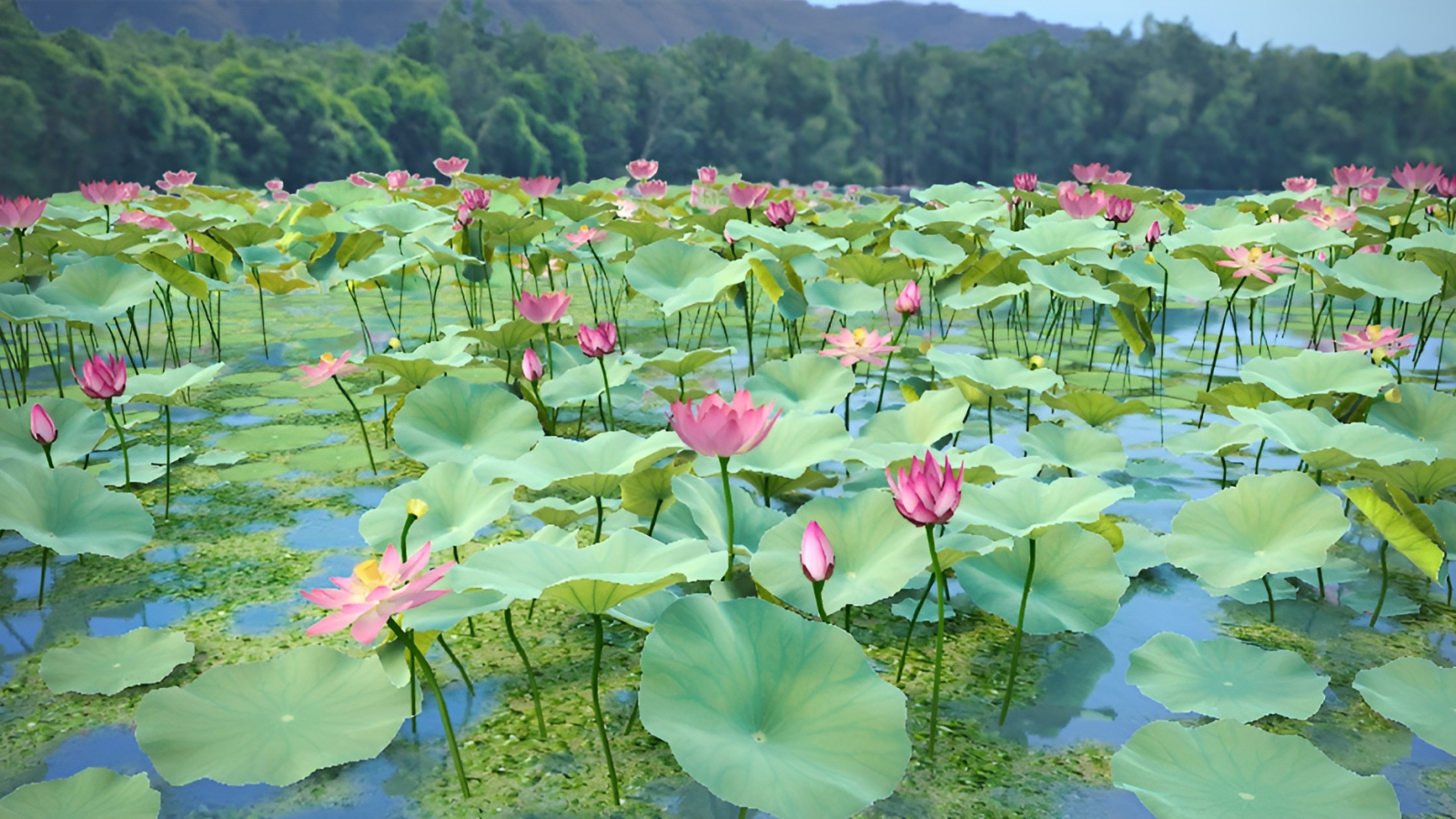 Jana Vošahlíková - YOGA