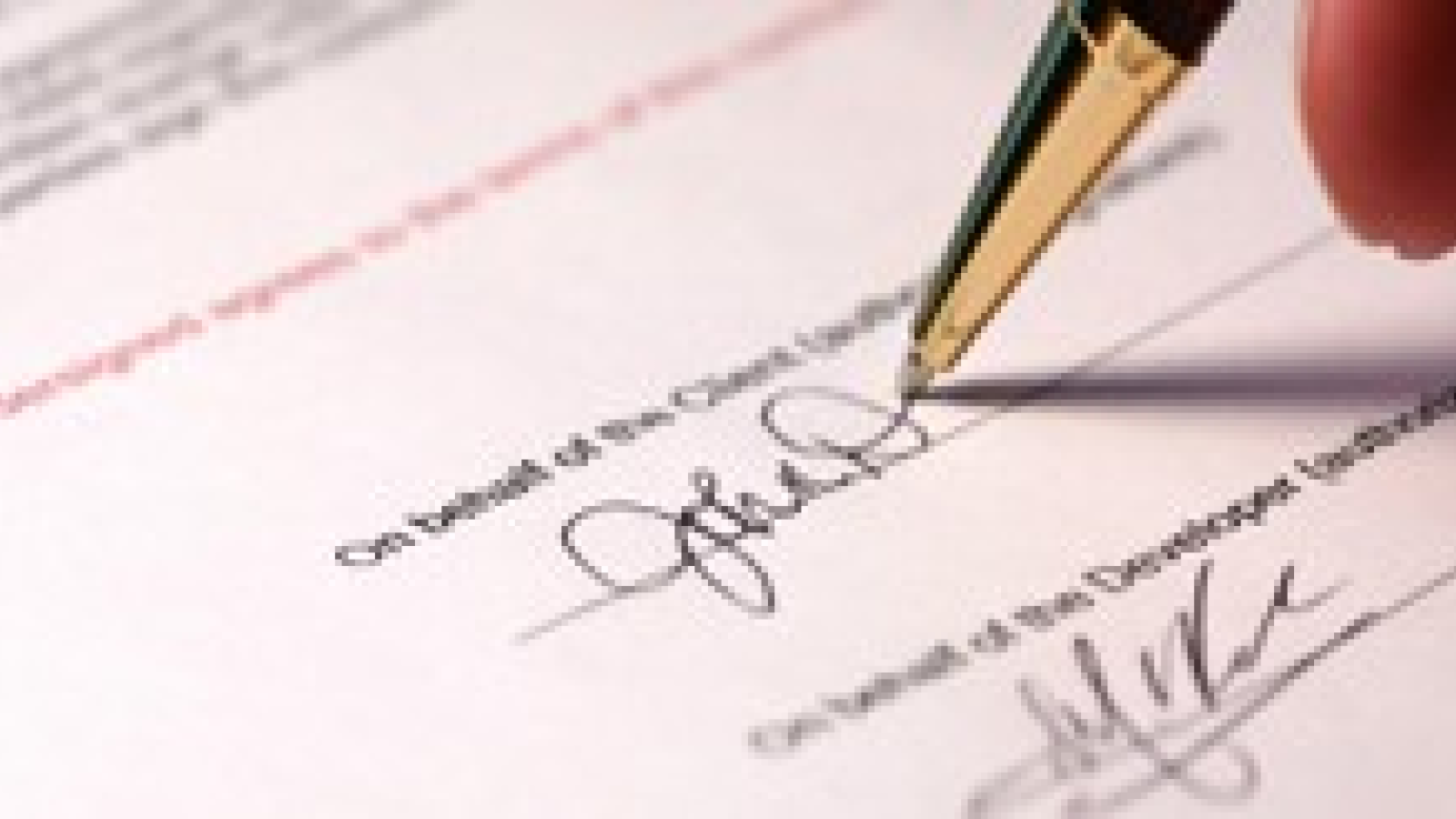 Notaria Americana New York T&T