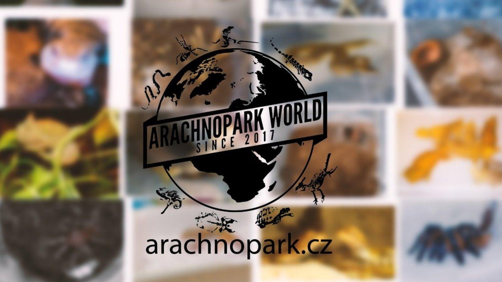 Arachnopark World