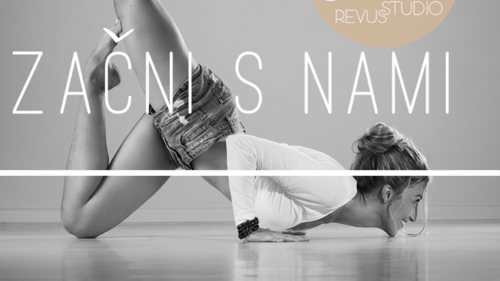 Revus Studio