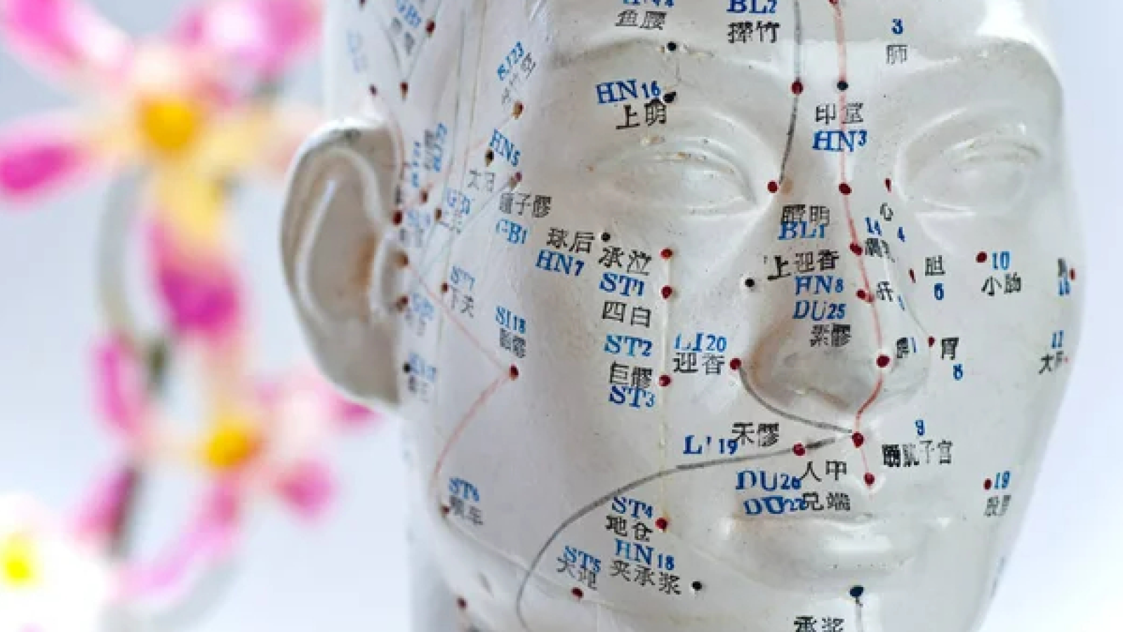 Cabinet de Shiatsu et Réflexologie de Maurepas