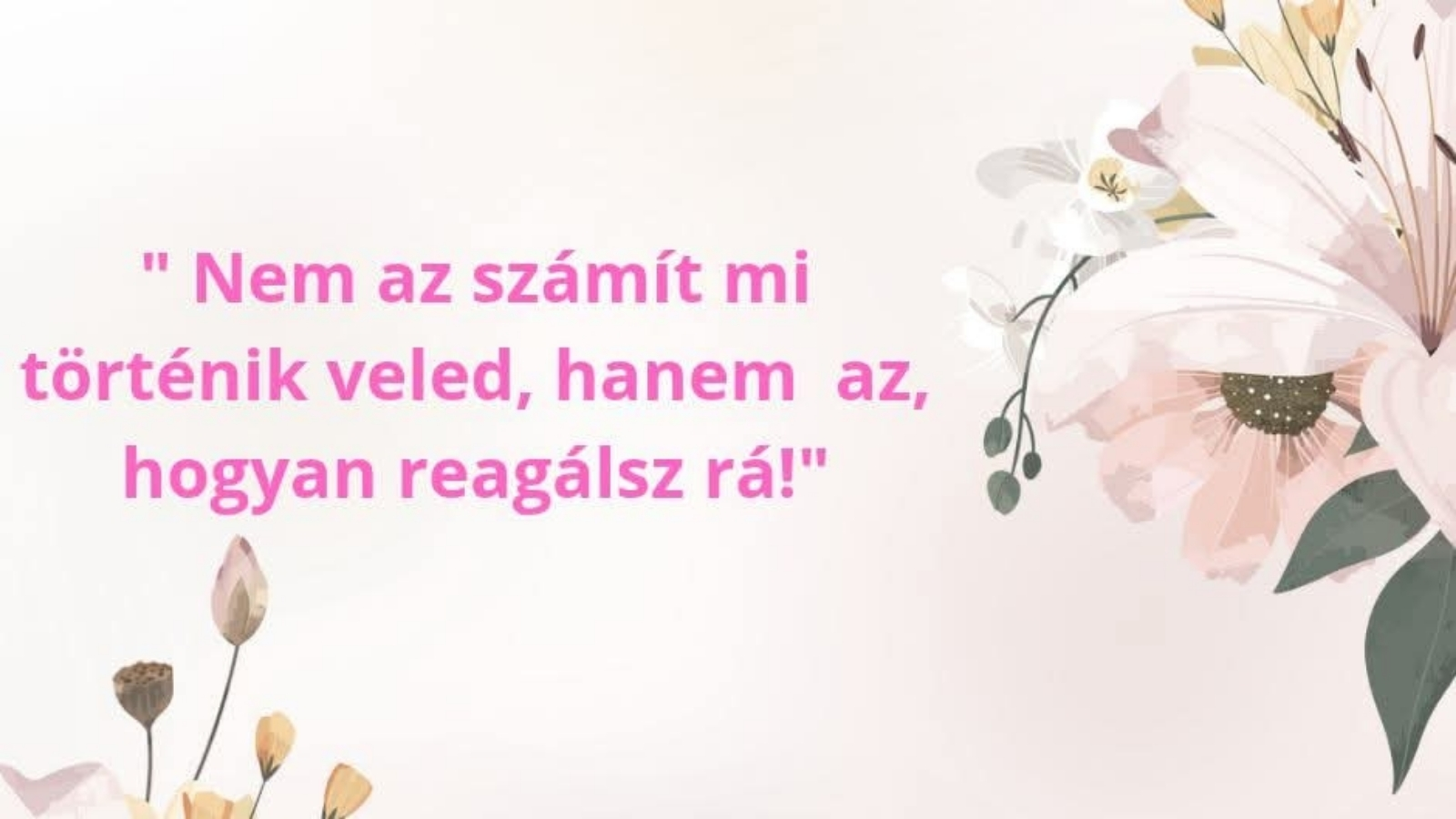 Mihalecz Hajnalka-Oldódj velem