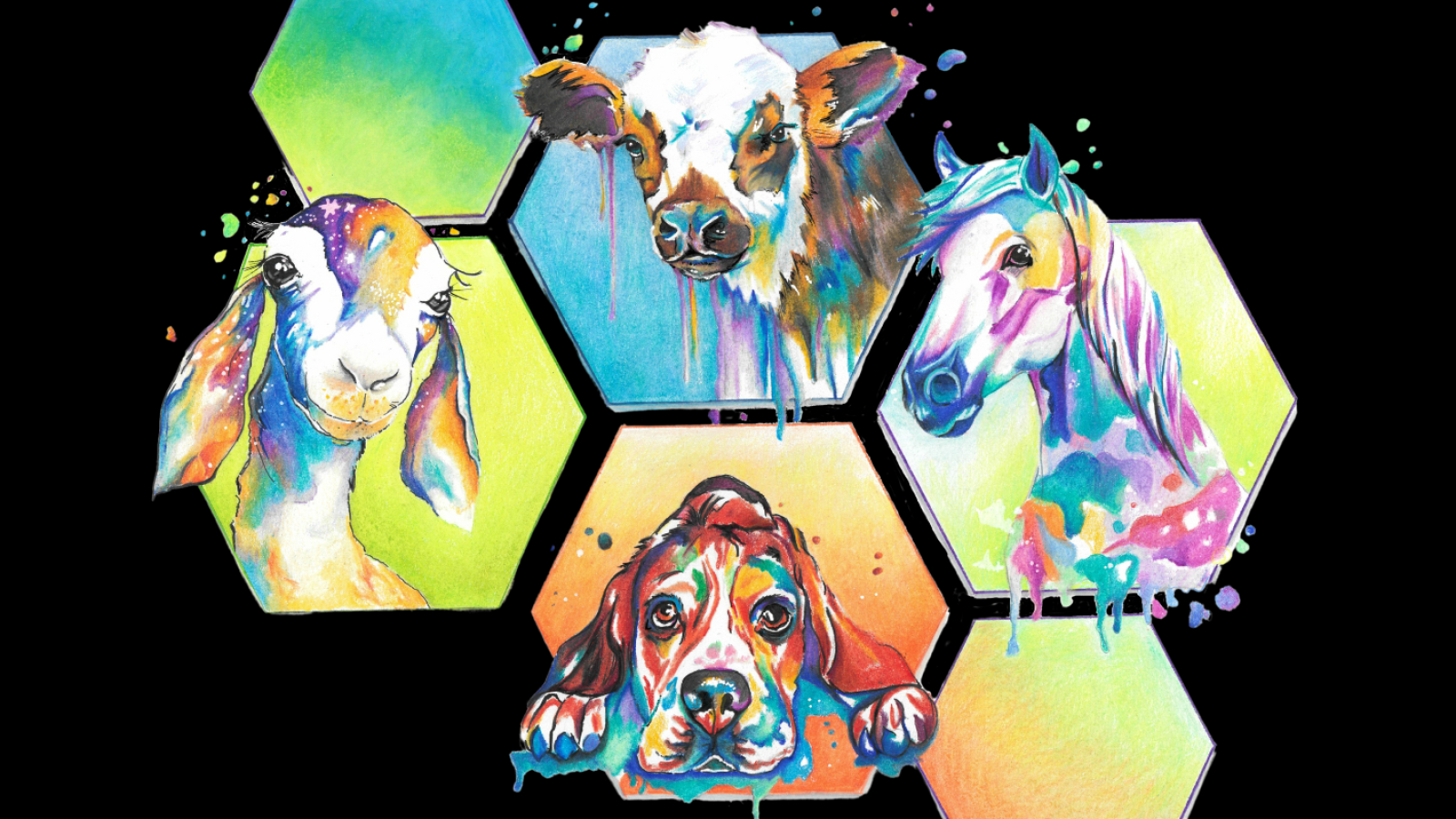 Julie Briançon - Ostéopathe Animalier