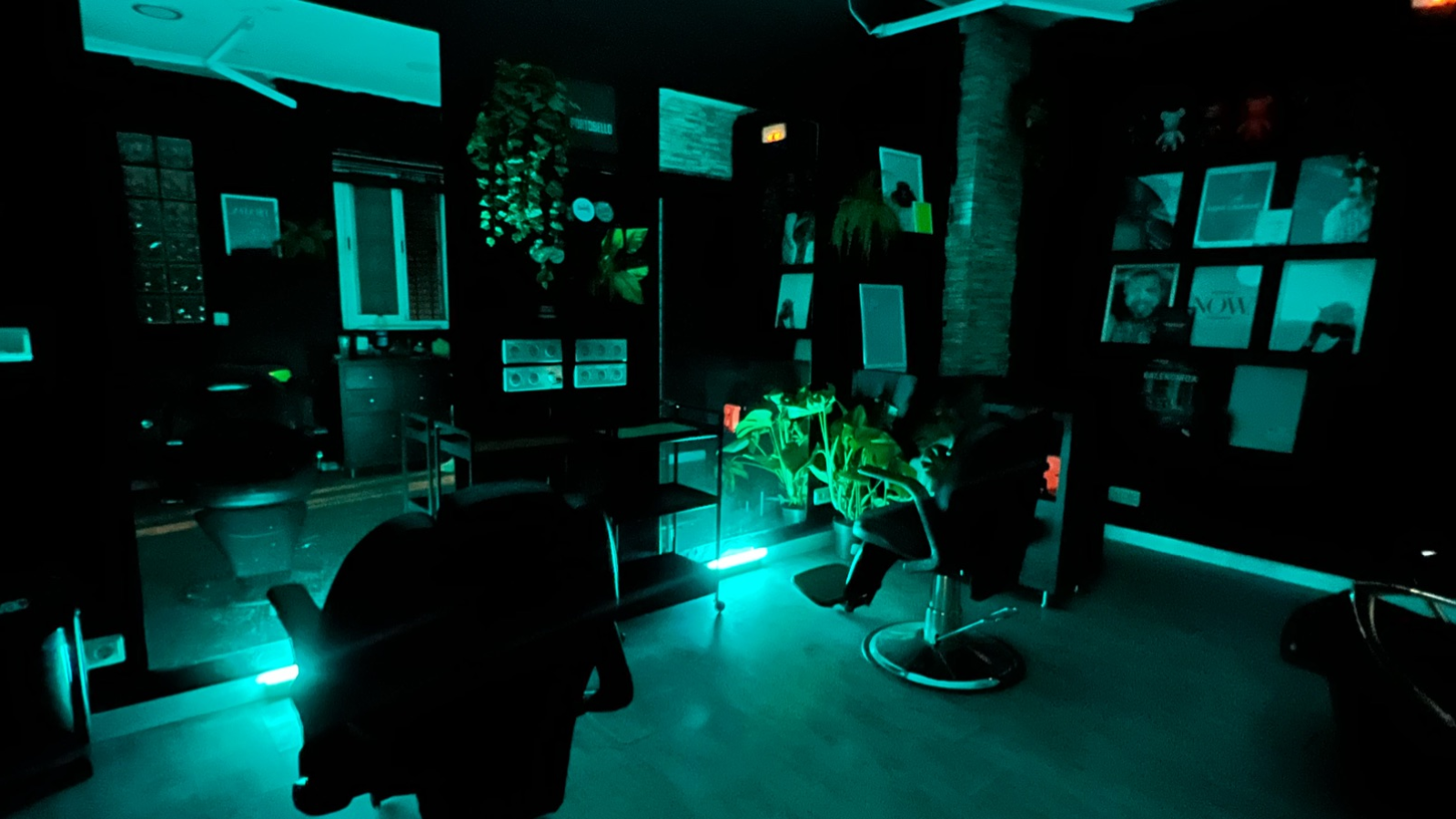 Lele Rodriguez grooming saloon