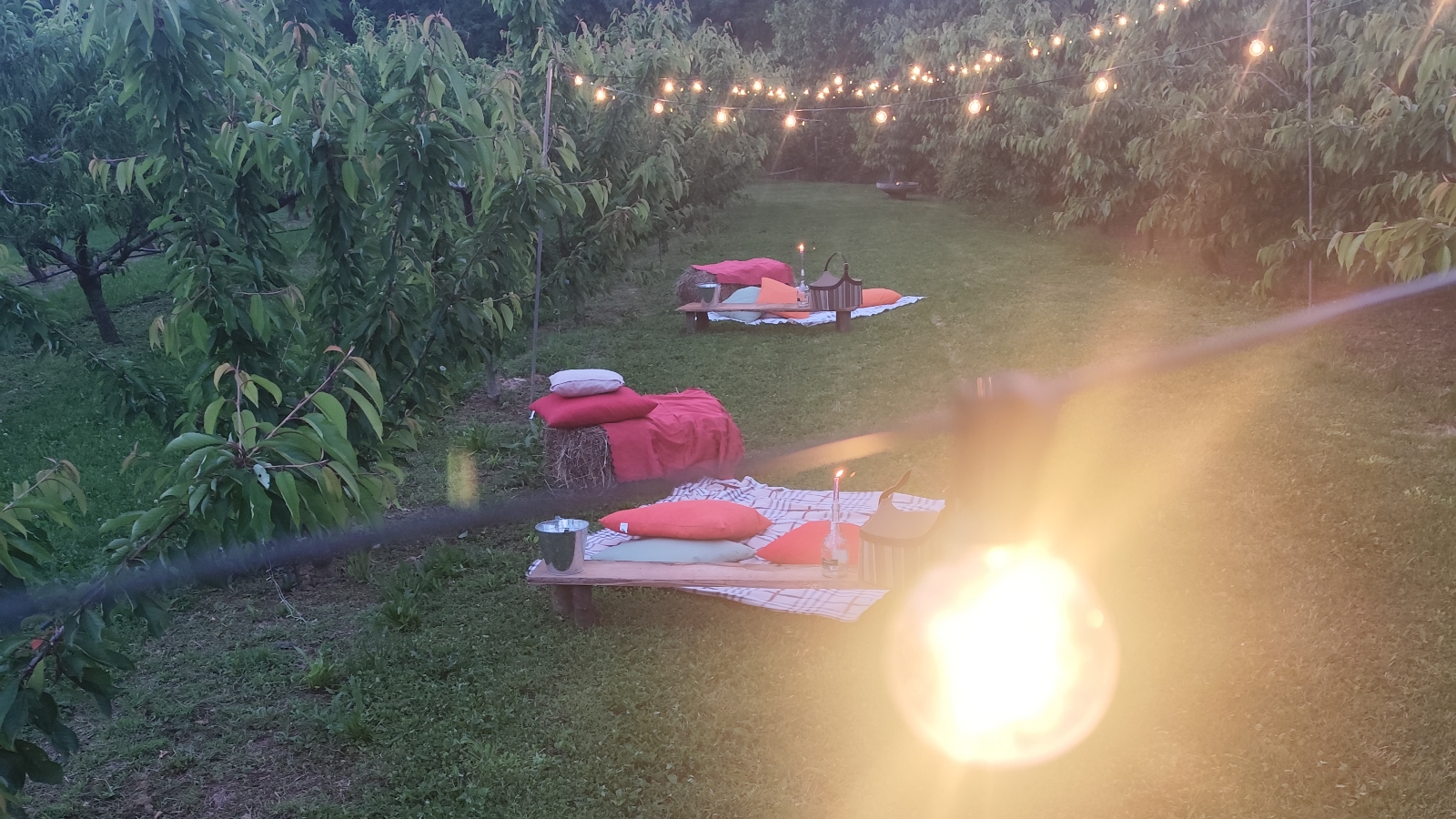 Il frutteto dei paci