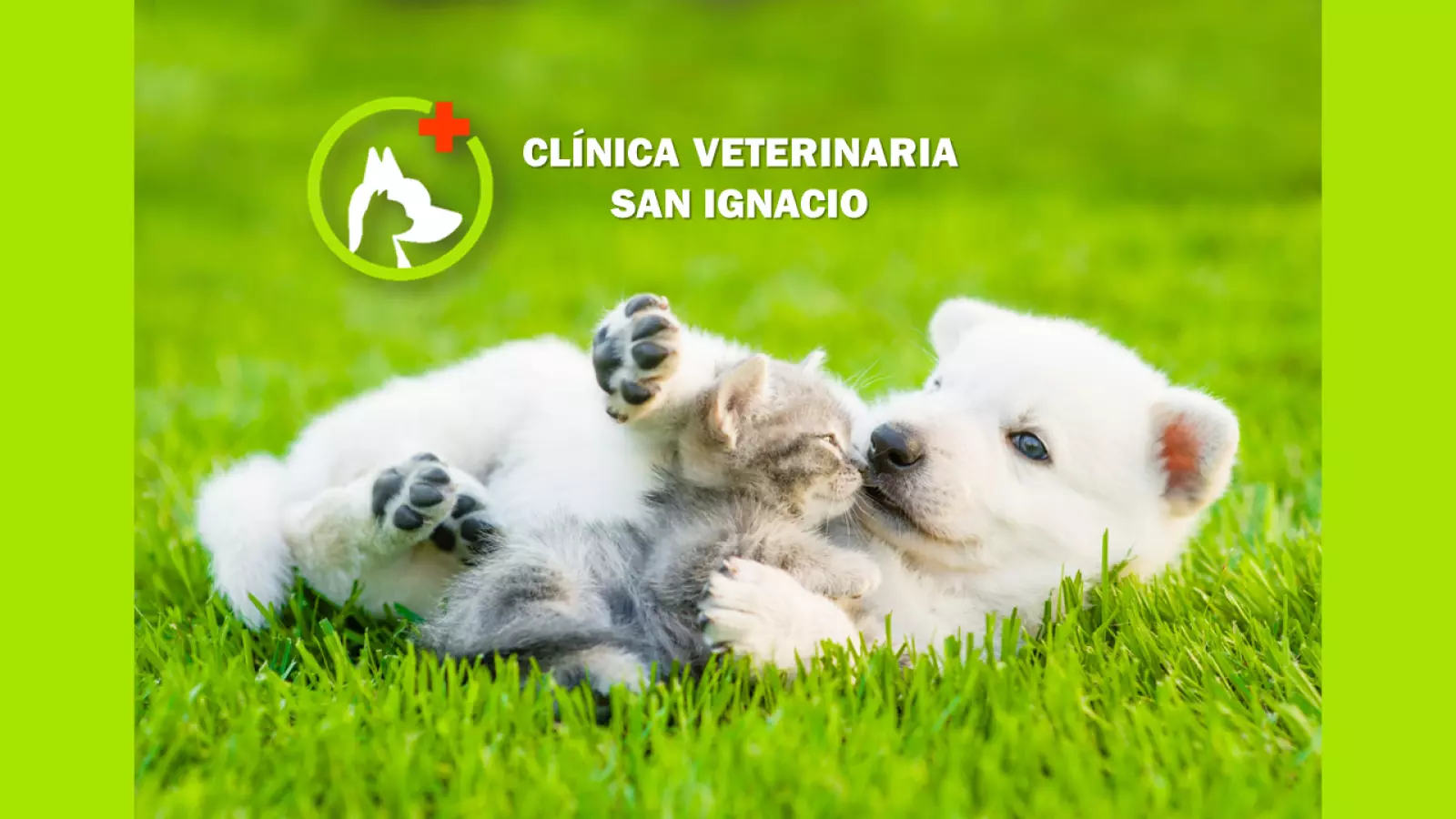 Clínica Veterinaria San Ignacio Arica