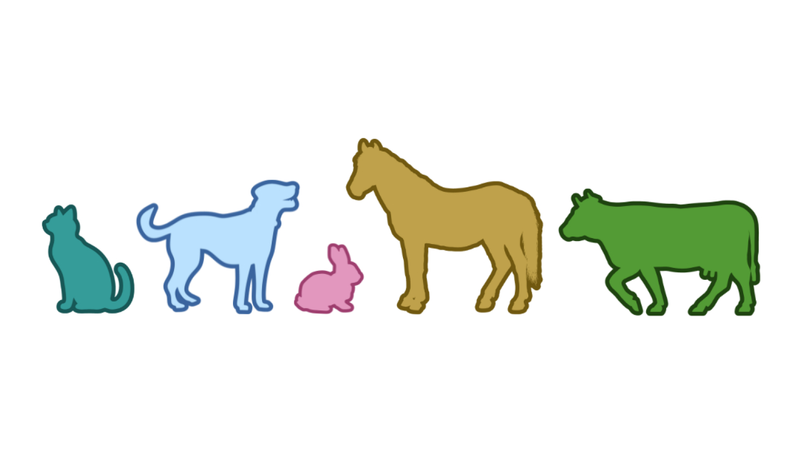 Pauline Faucillon - Ostéopathe Animalier