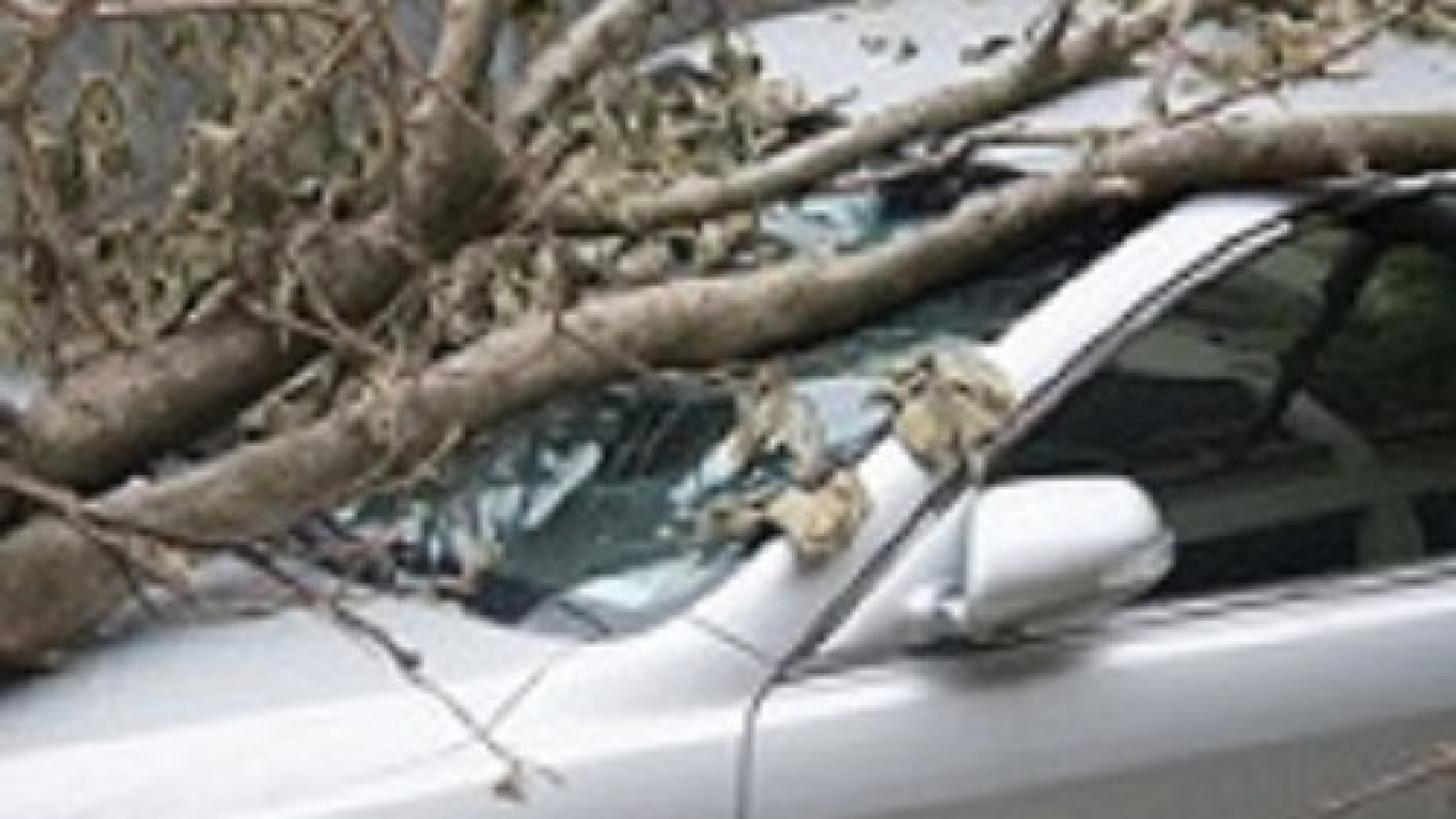 Knabusch Insurance Services Inc