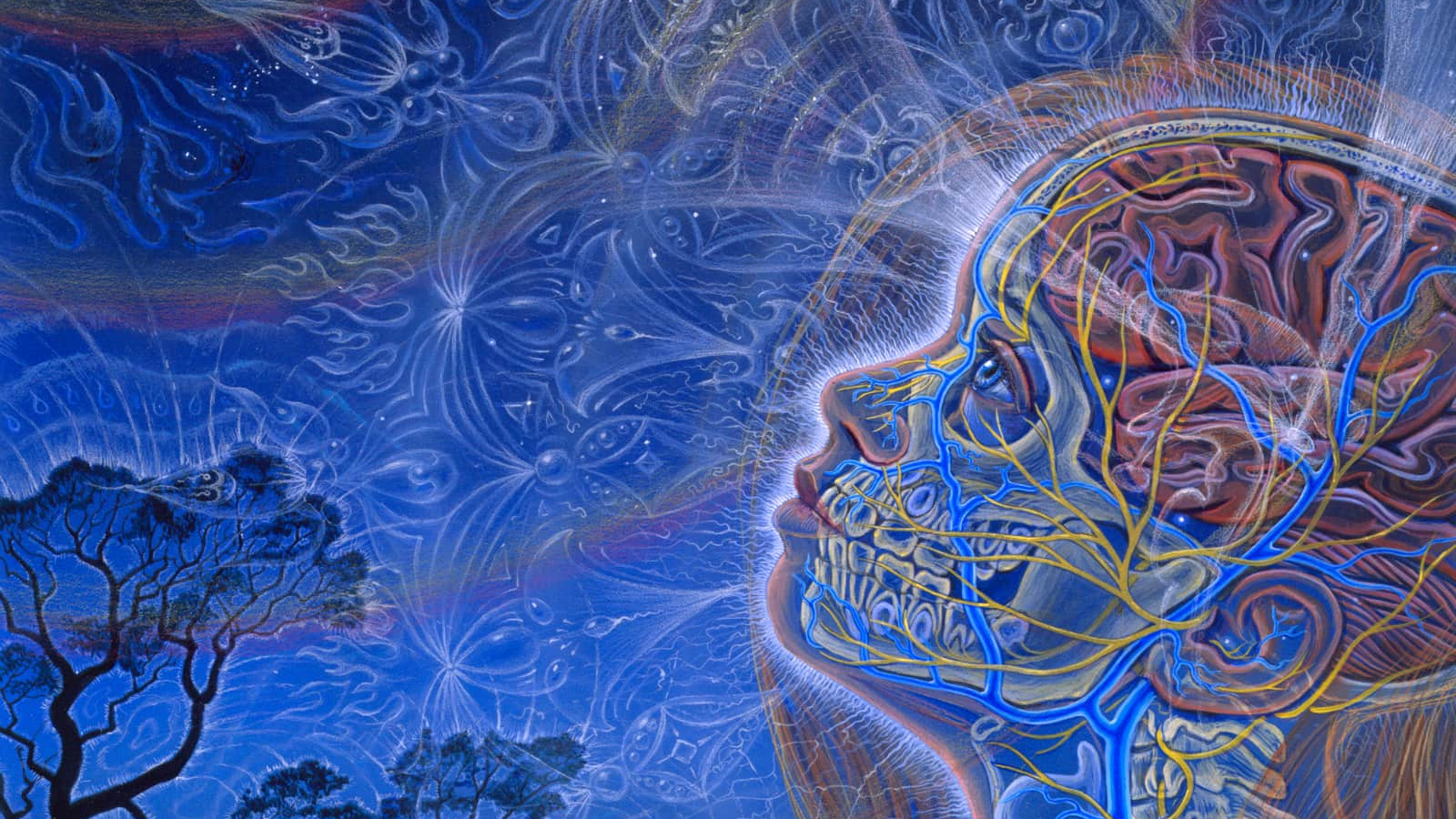 Ostéopathie Angémile Nelson