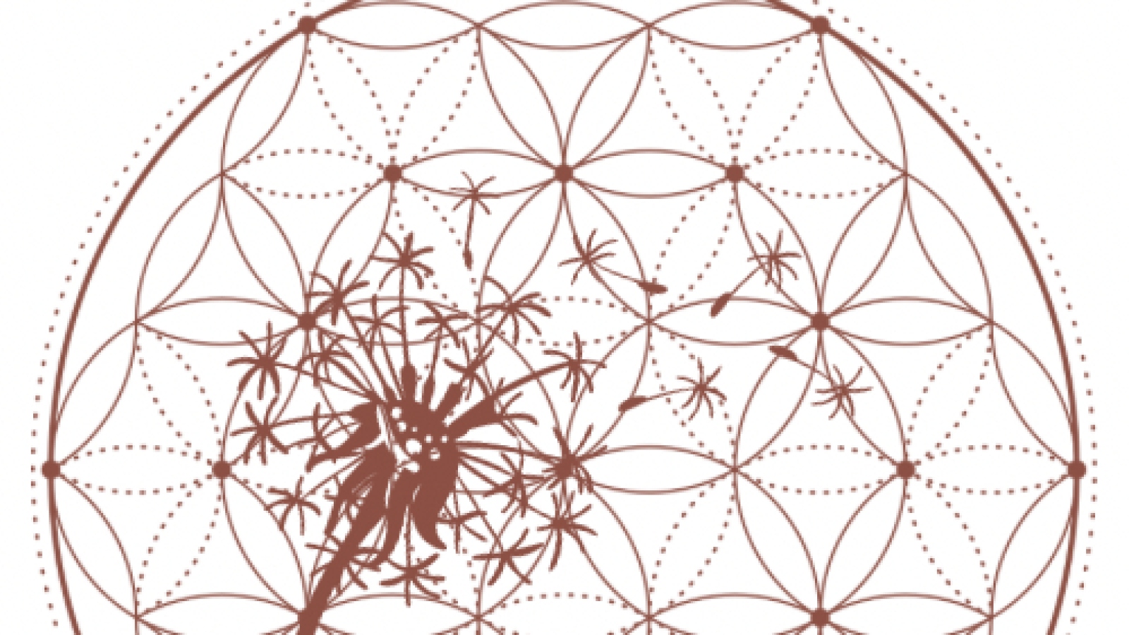 De Yoga Kliniek Individuele sessies