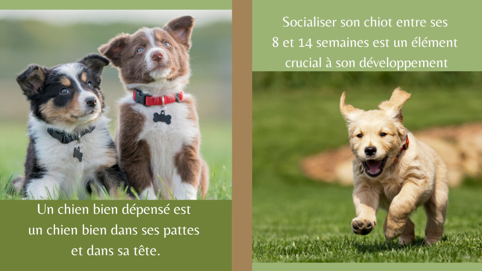 Période de jeu Bêtes Gourmandes