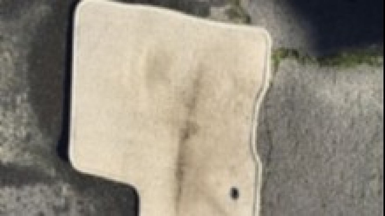 Andersen's Carpet & Upholstery Cleaning