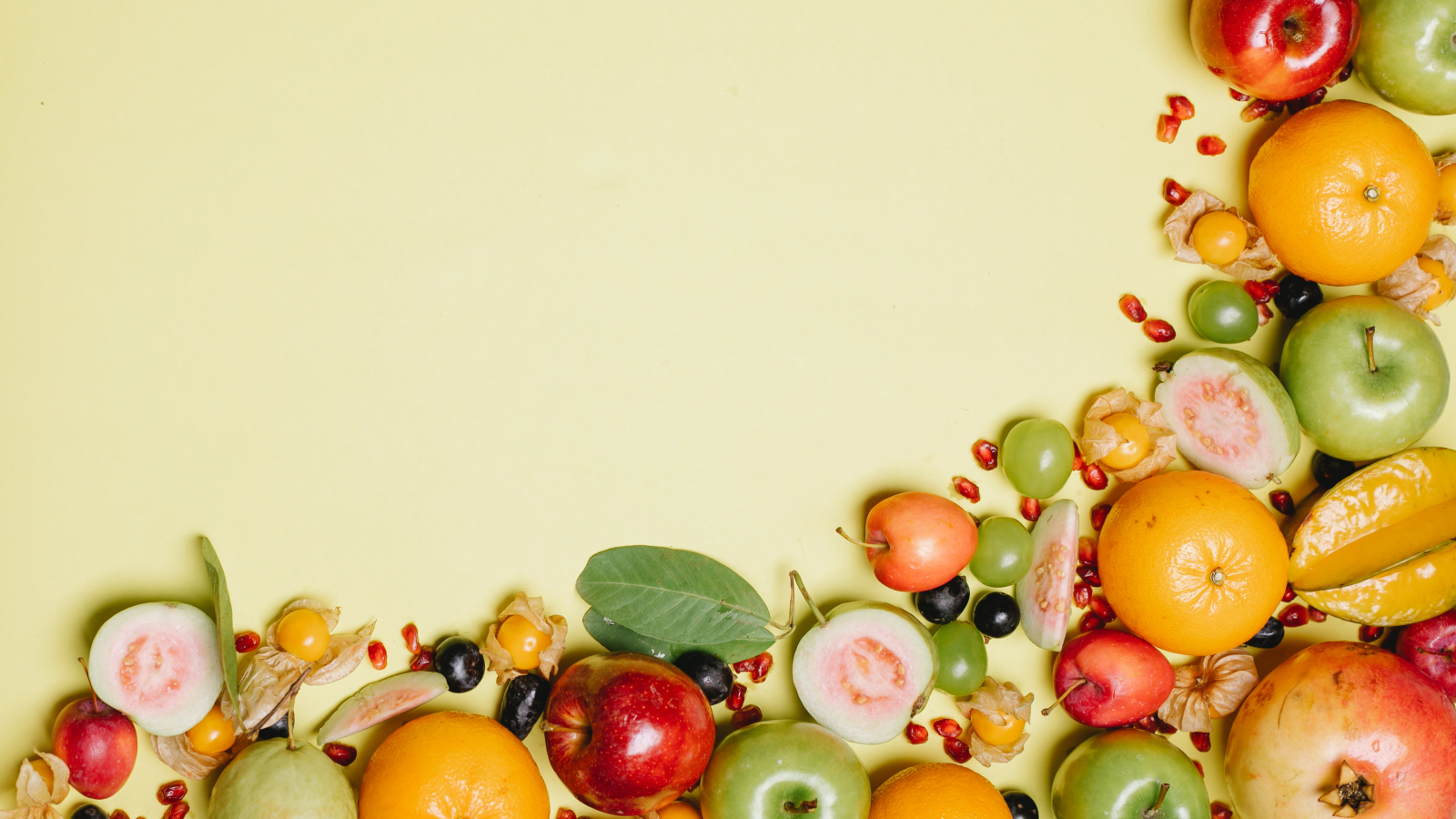 Alexandra Jacob Diététicienne Nutritionniste