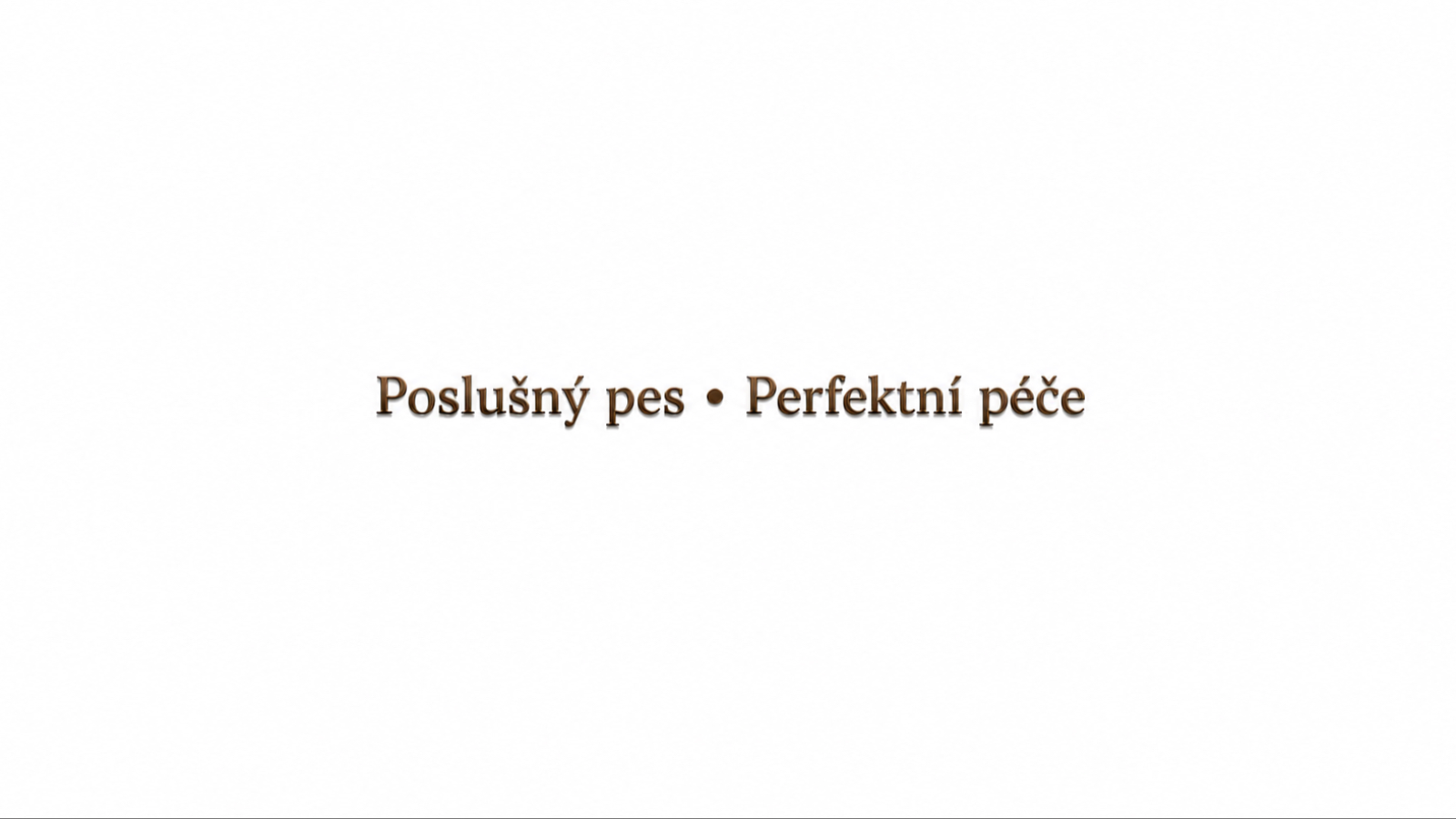 Psí Salon Poslušný pes Perfetní péče