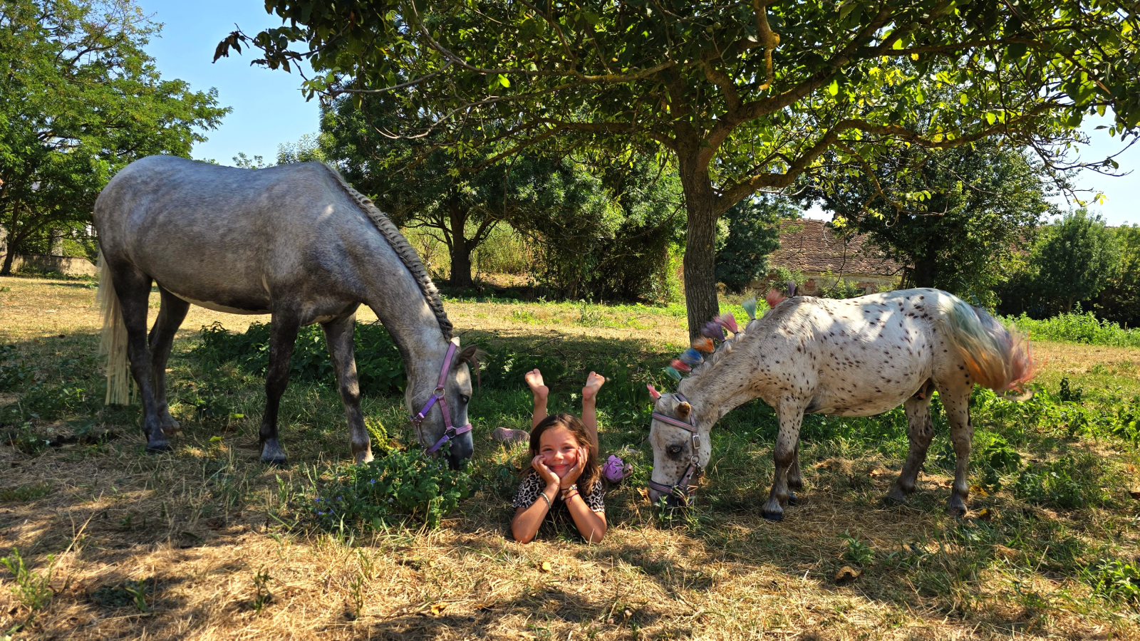 Pony Park Hviezdoslavov