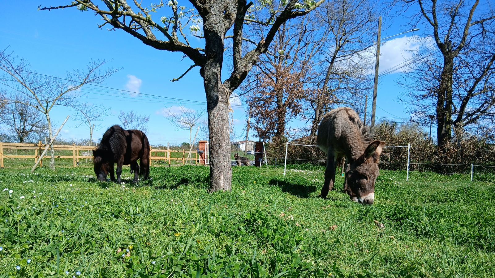 La Petite Ferme de Plaisance