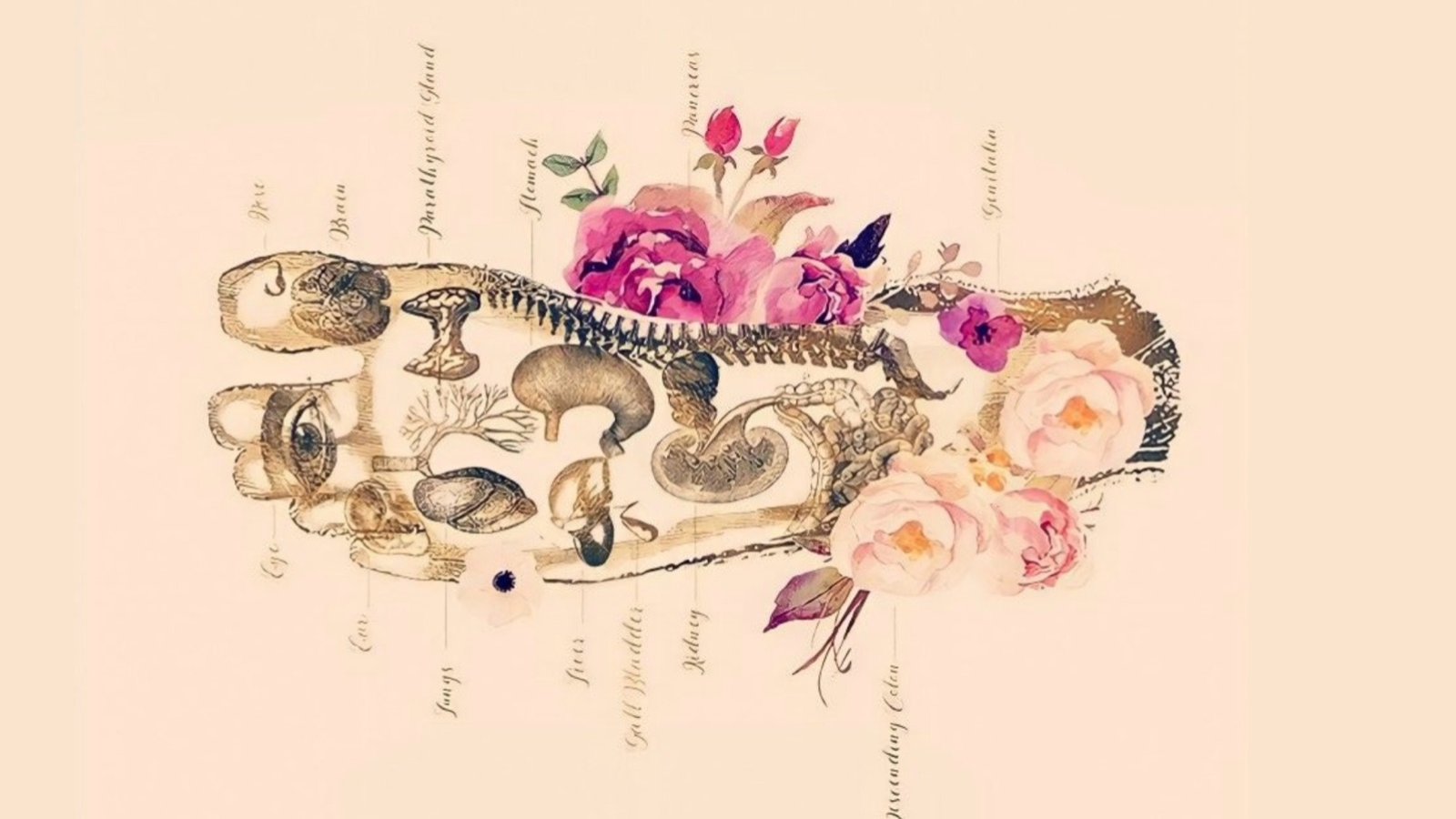 Mouvement & Soins du corps À DOMICILE