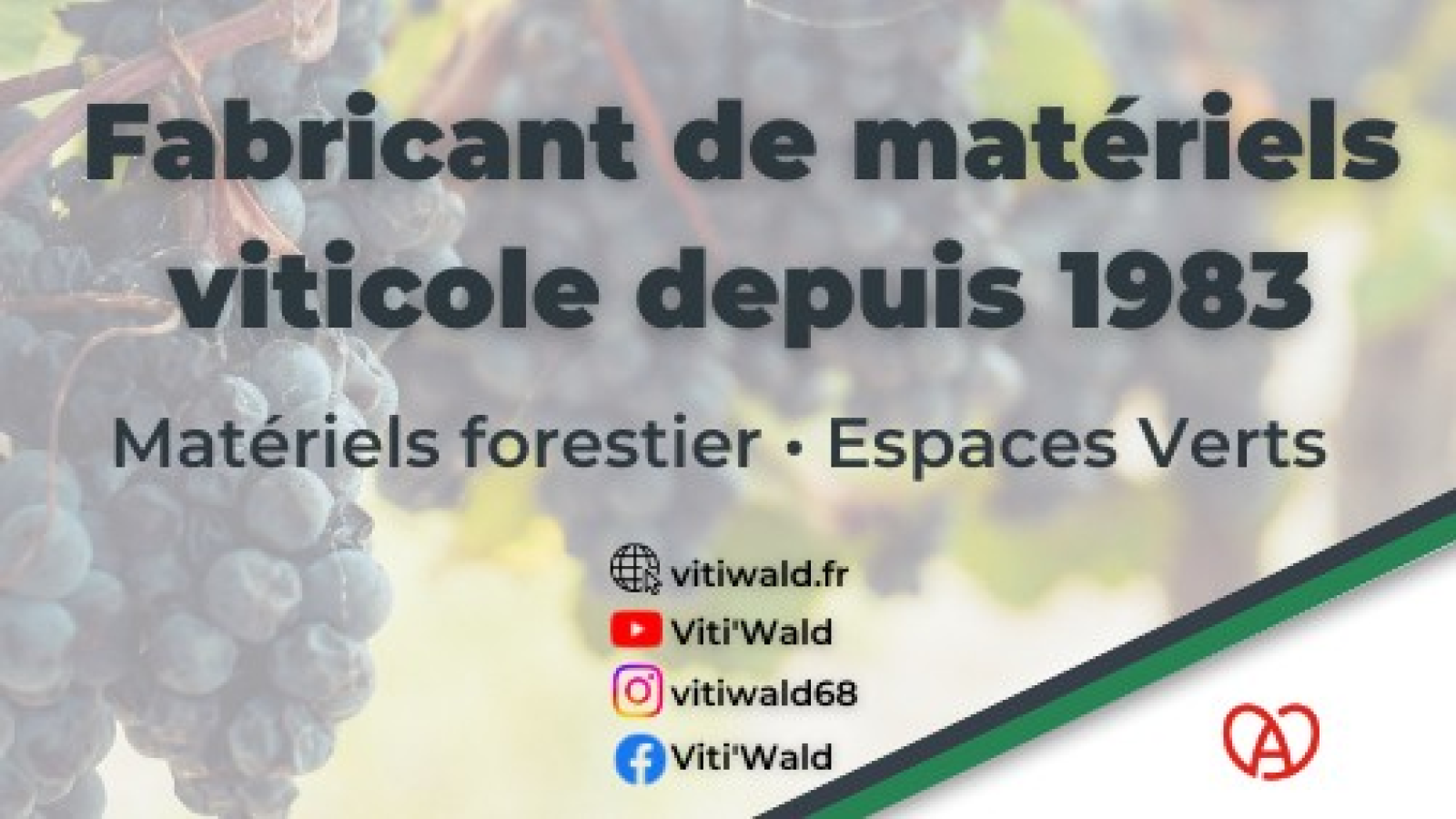 VITI'WALD