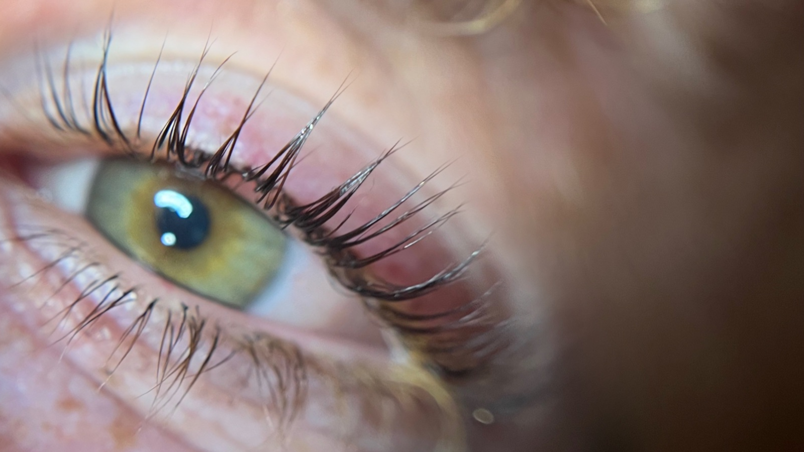 Giulia Lashes e brows