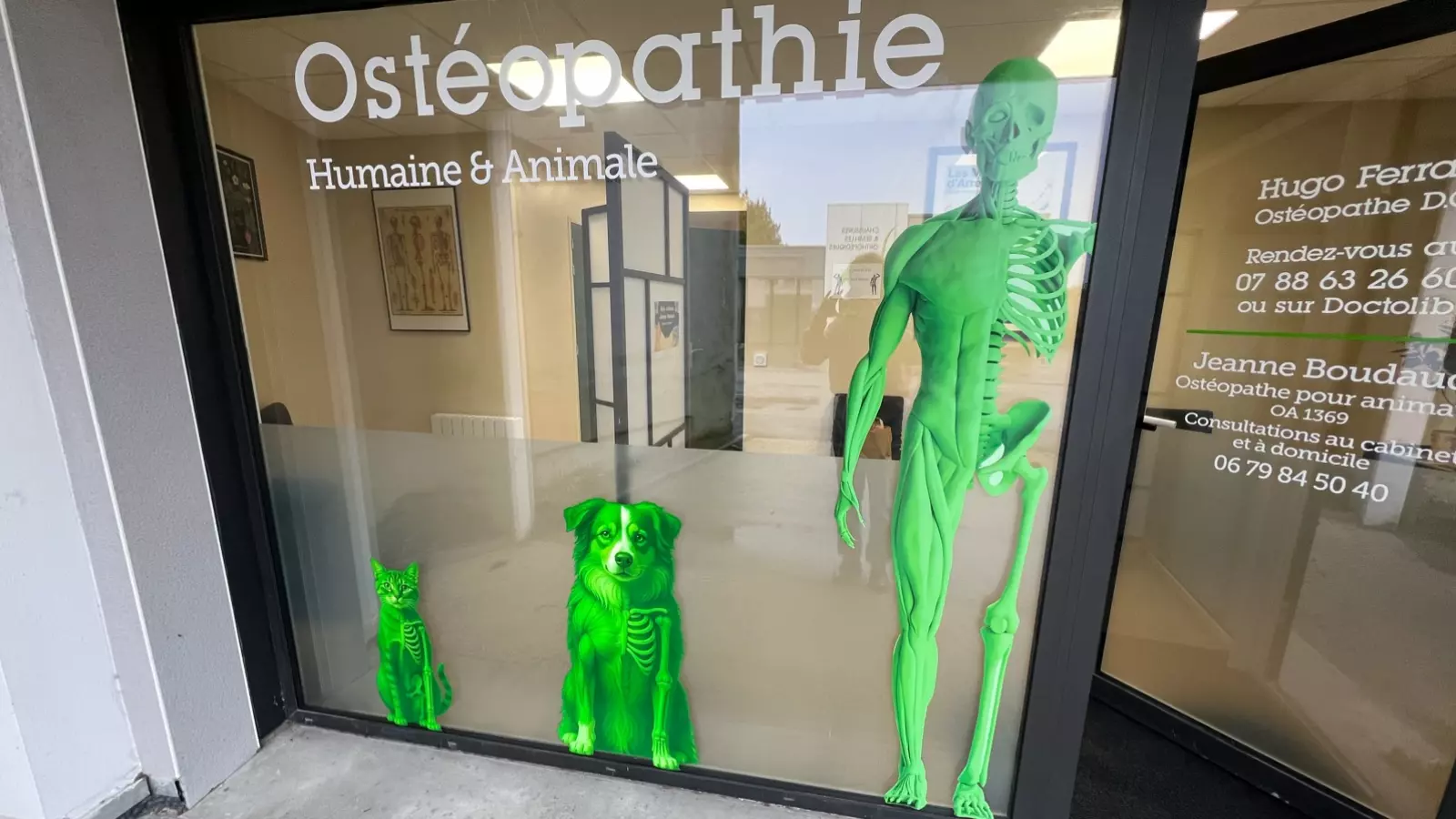Jeanne Boudaud - Ostéopathe pour animaux