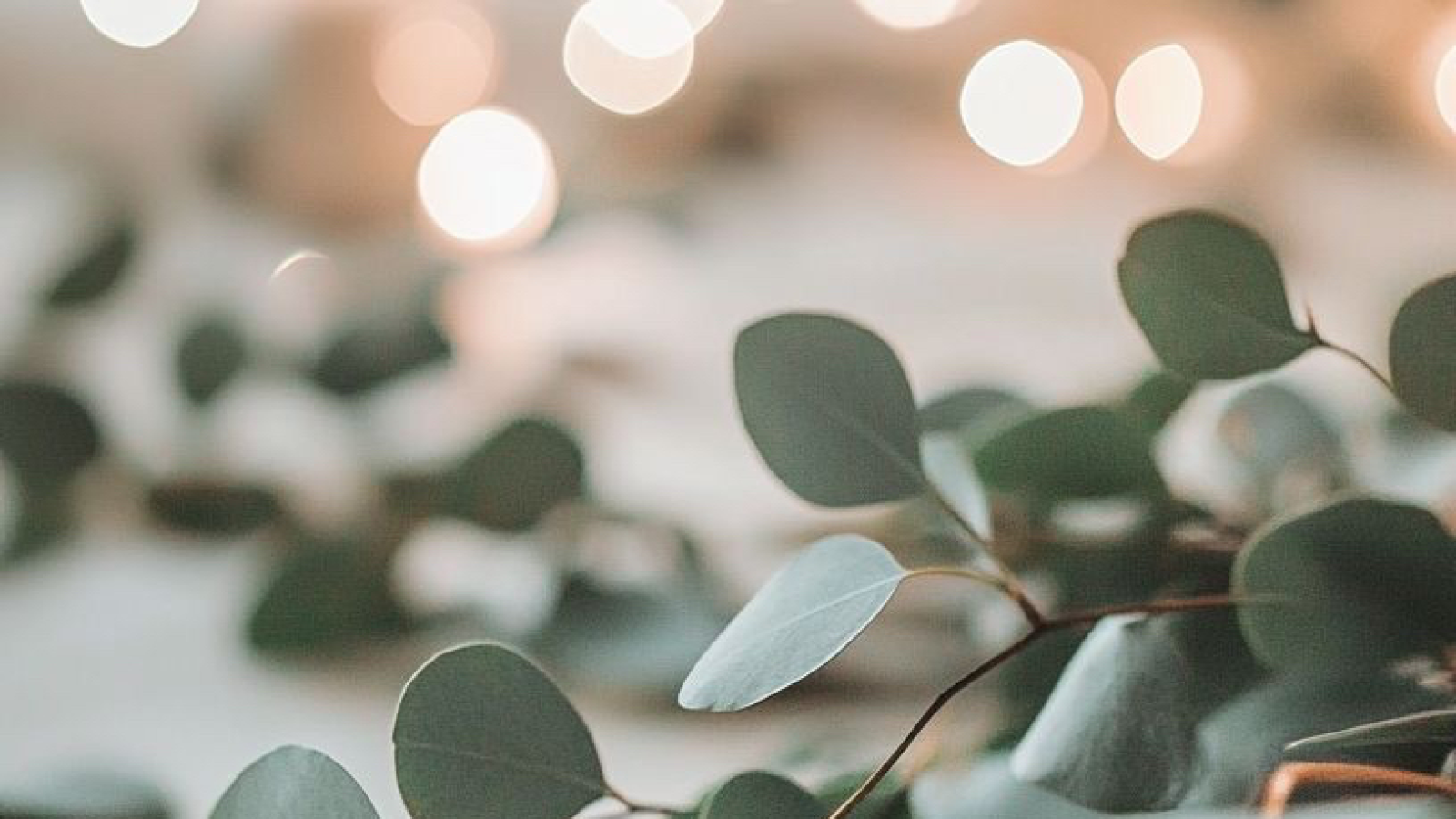 Fleur de Vie | Massages Bien-être