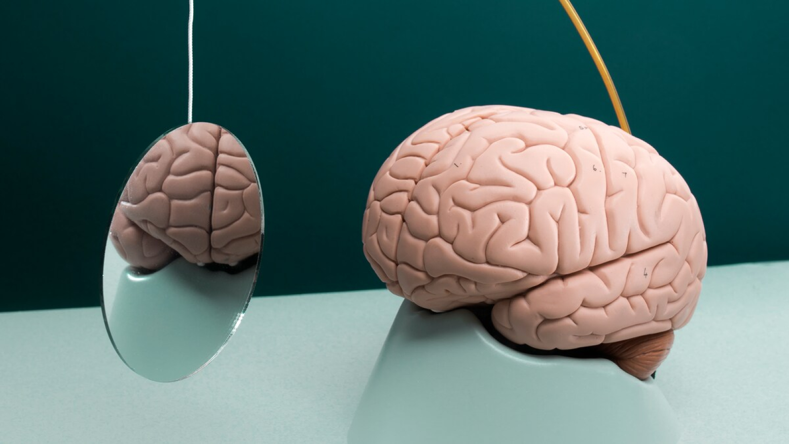 Therapeut _ Tabakoloog