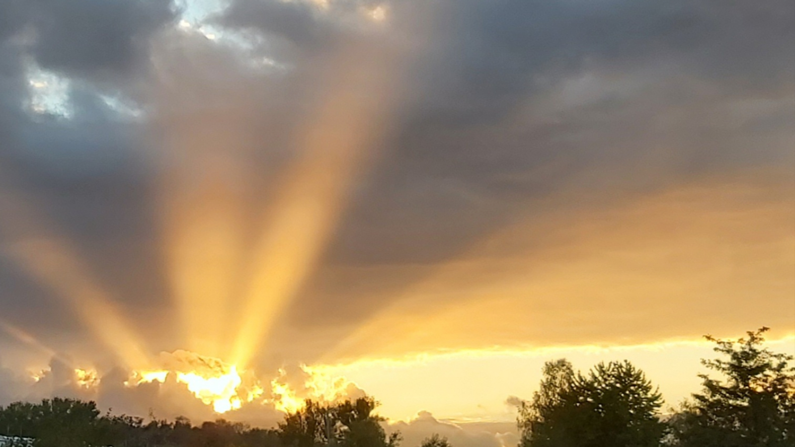 Hypnosepraxis "Hertz und Verstand"