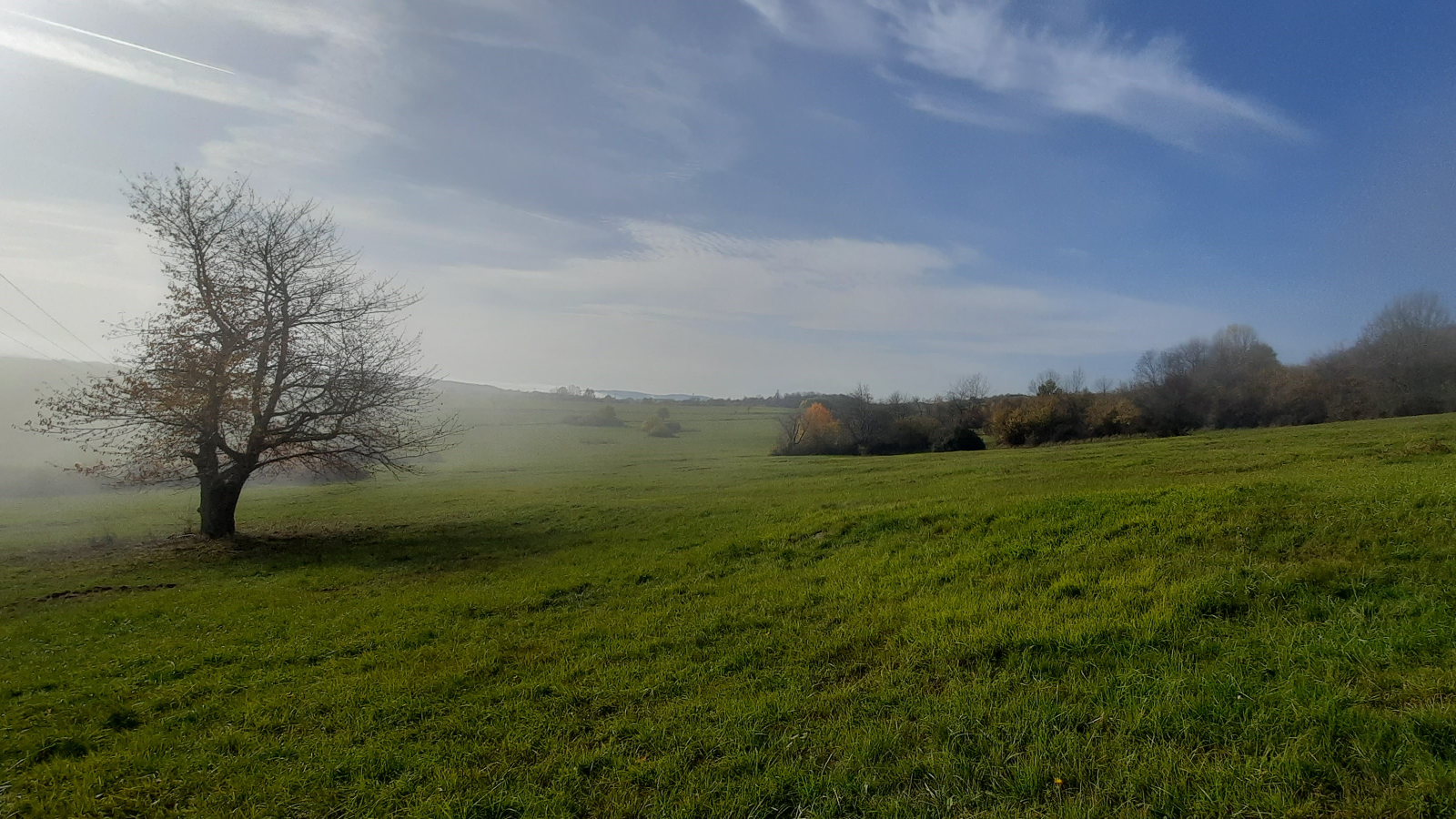 Psychoterapie - Rut Synková, PhD. - Terapie Duší