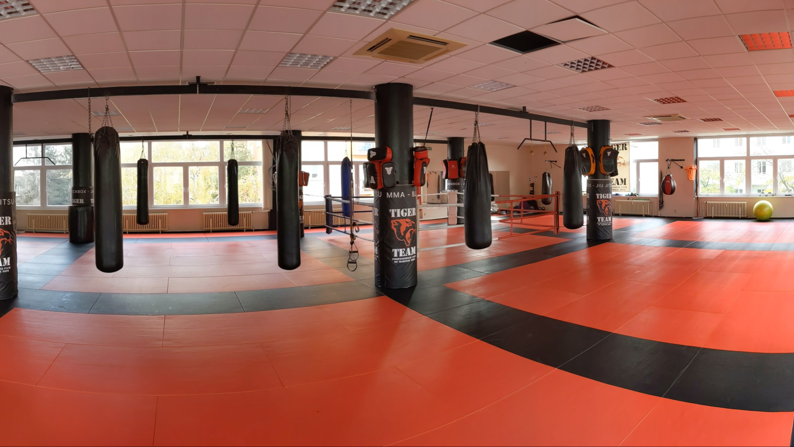 Fight & Performance